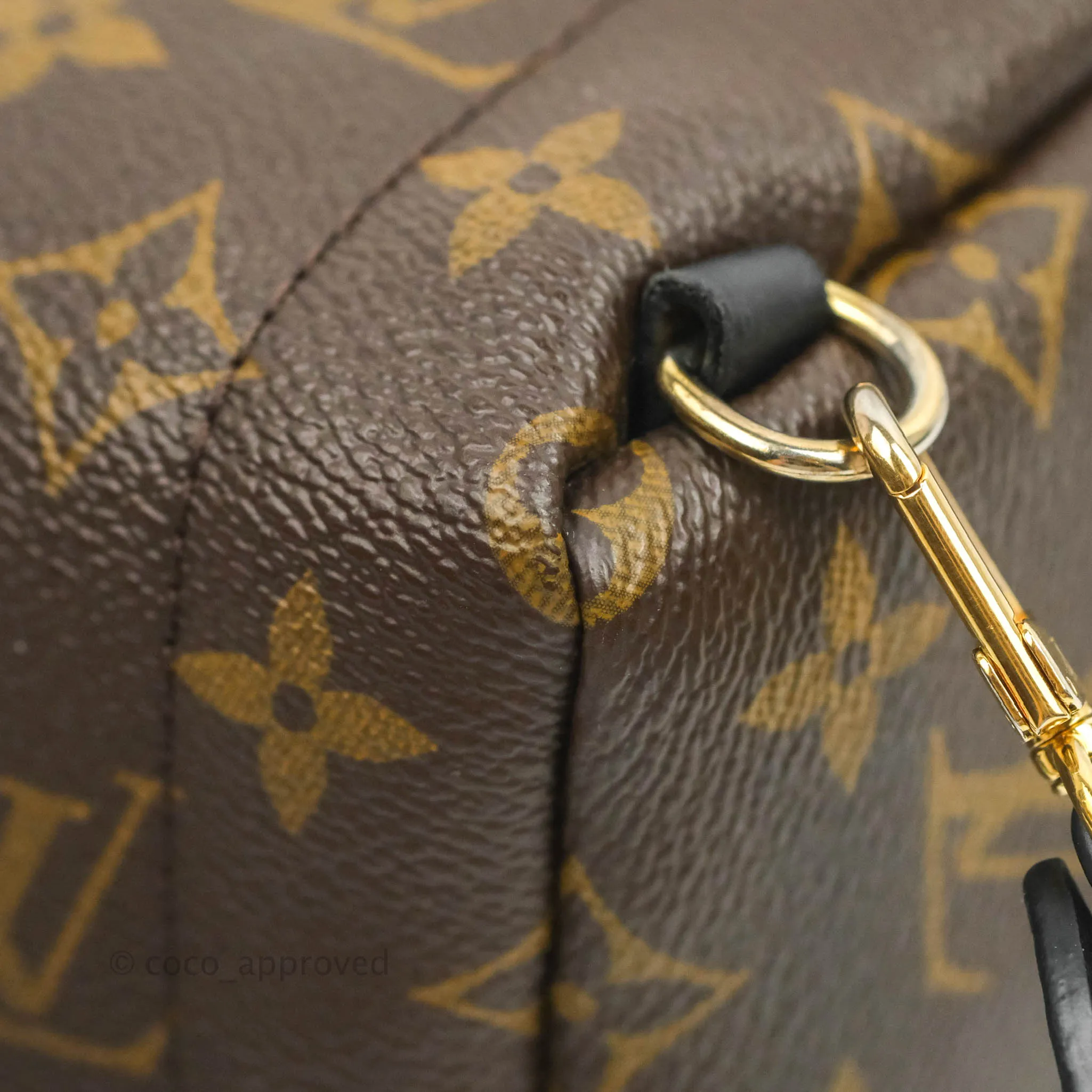 Louis Vuitton Monogram Mini Palm Springs Backpack