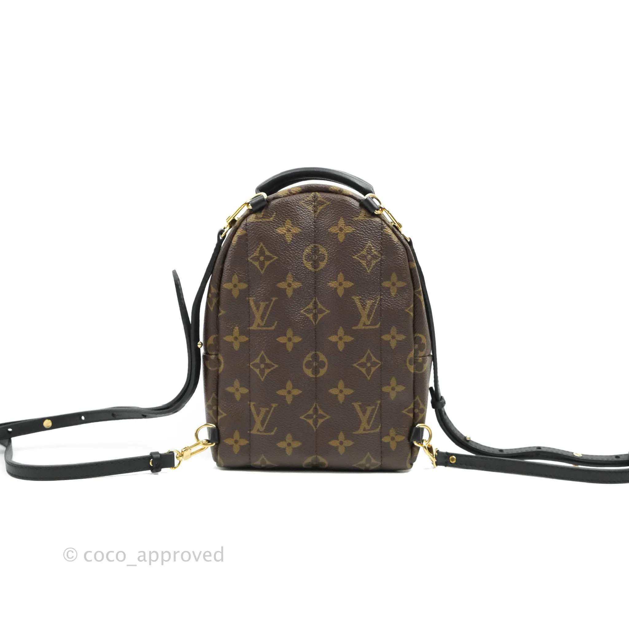 Louis Vuitton Monogram Mini Palm Springs Backpack