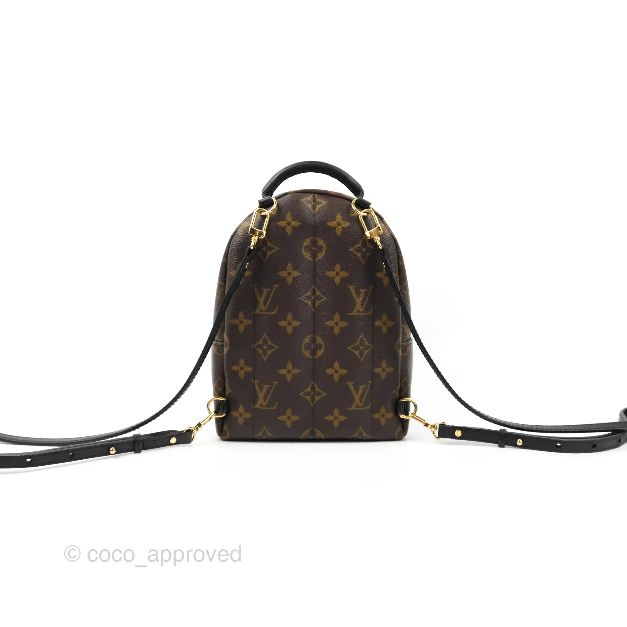 Louis Vuitton Monogram Mini Palm Springs Backpack