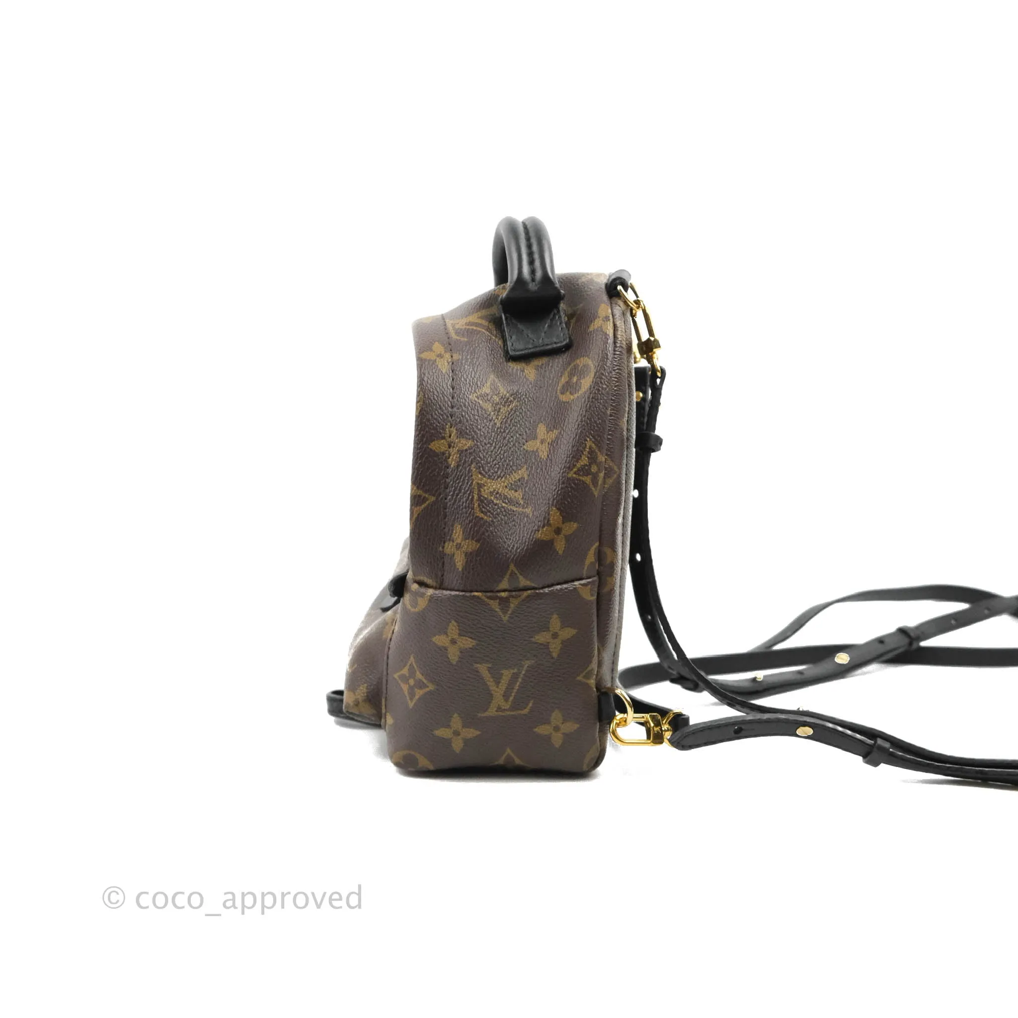 Louis Vuitton Monogram Mini Palm Springs Backpack