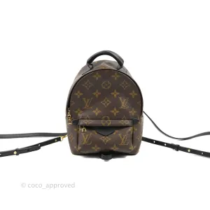Louis Vuitton Monogram Mini Palm Springs Backpack