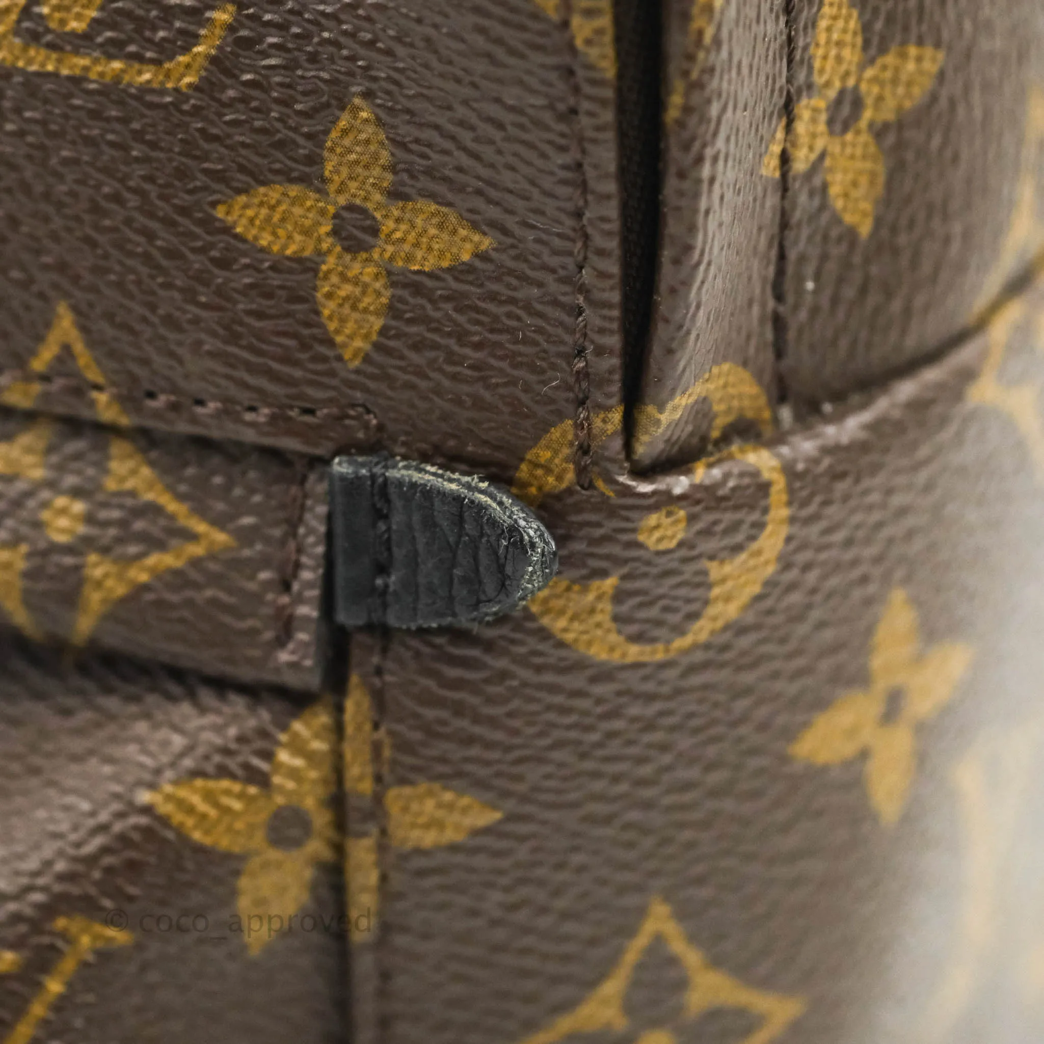 Louis Vuitton Monogram Mini Palm Springs Backpack