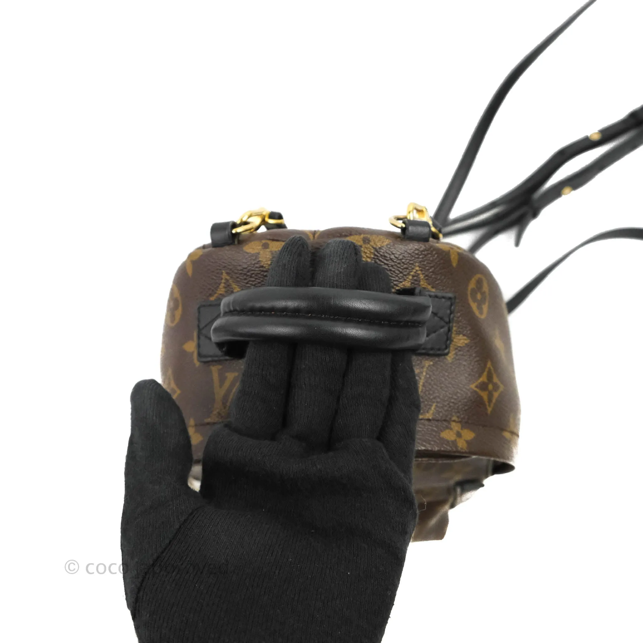 Louis Vuitton Monogram Mini Palm Springs Backpack
