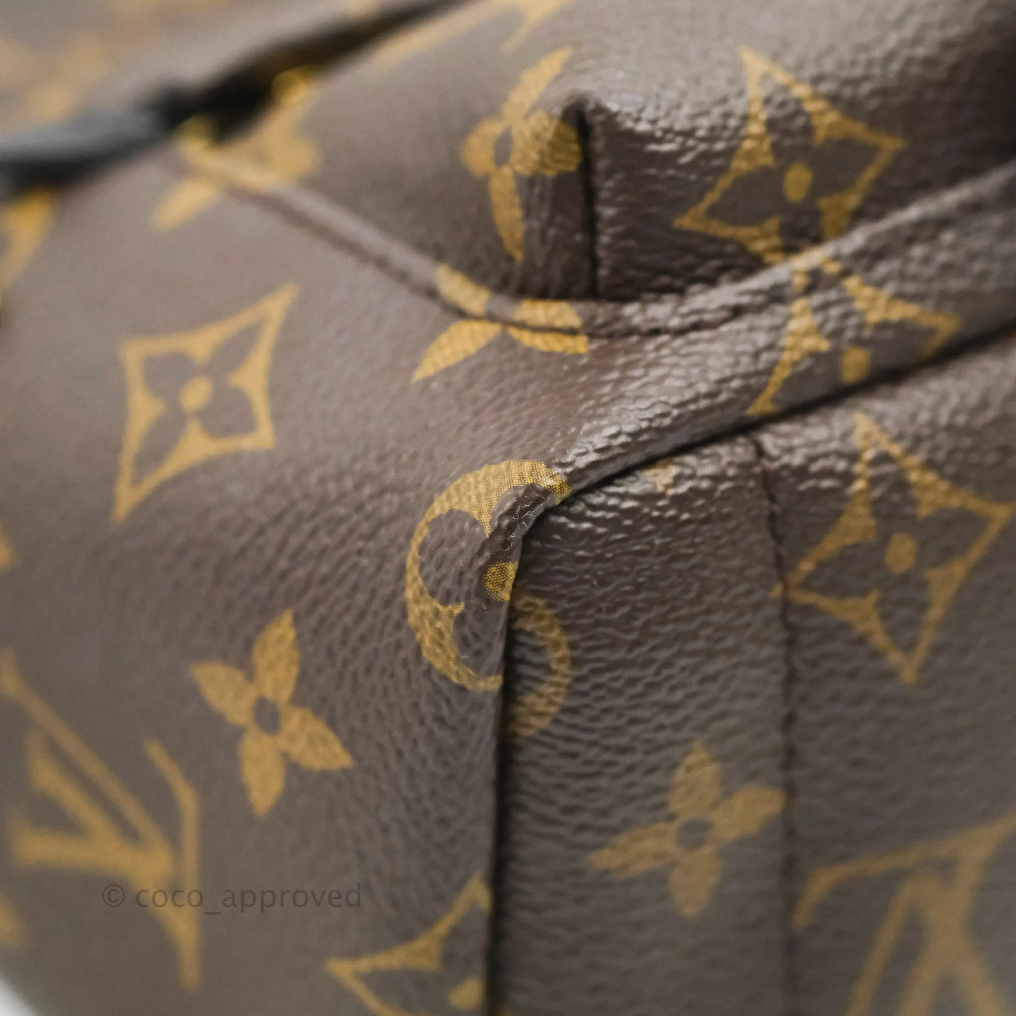Louis Vuitton Monogram Mini Palm Springs Backpack