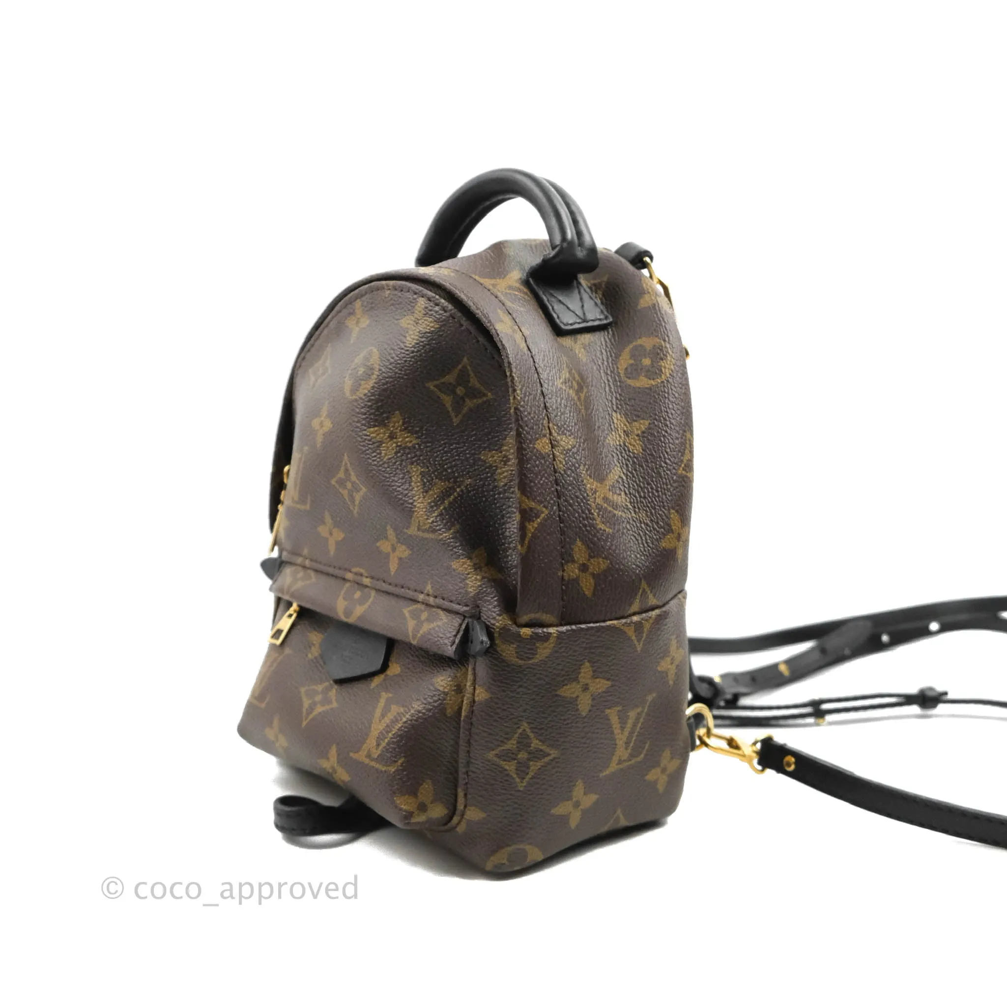 Louis Vuitton Monogram Mini Palm Springs Backpack