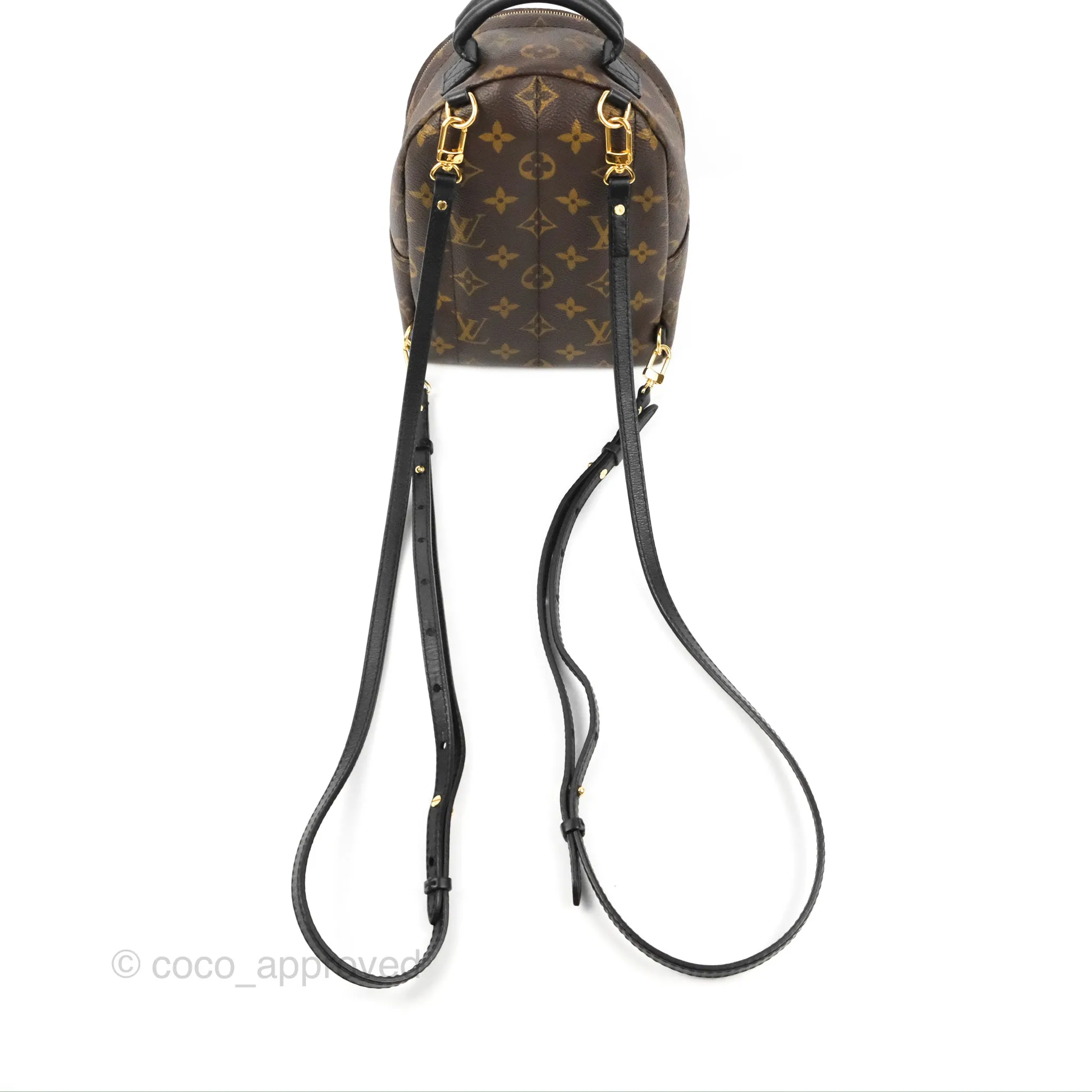 Louis Vuitton Monogram Mini Palm Springs Backpack