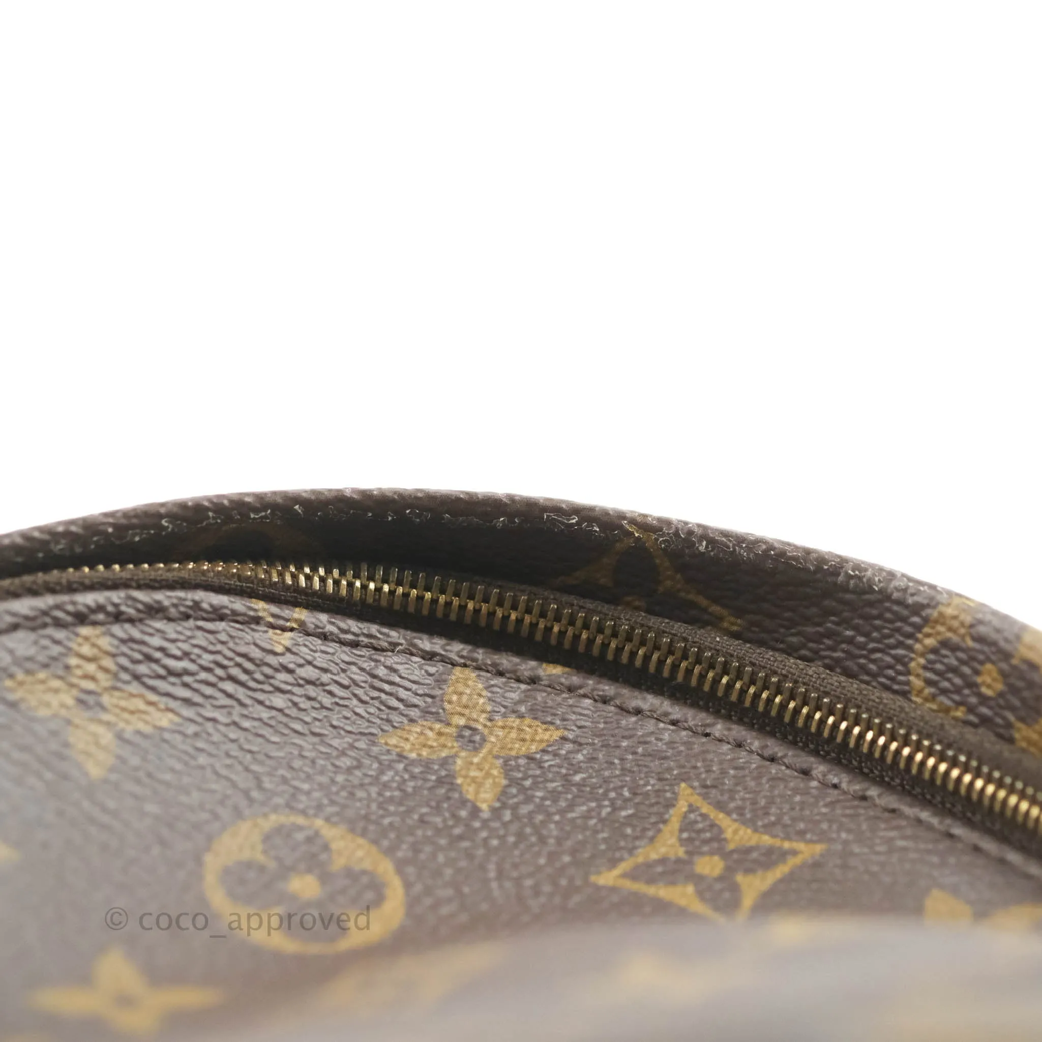 Louis Vuitton Monogram Mini Palm Springs Backpack