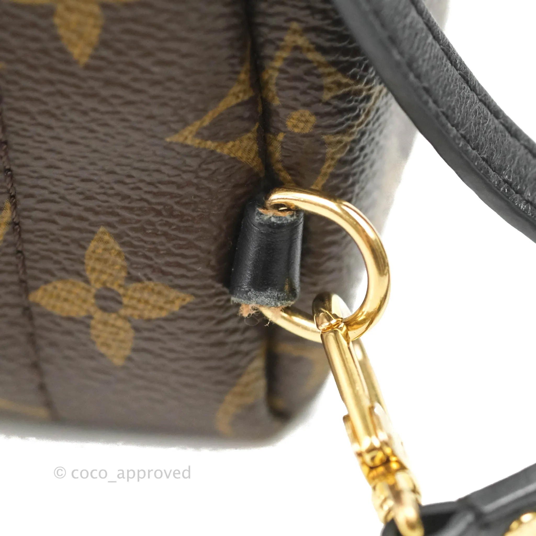 Louis Vuitton Monogram Mini Palm Springs Backpack
