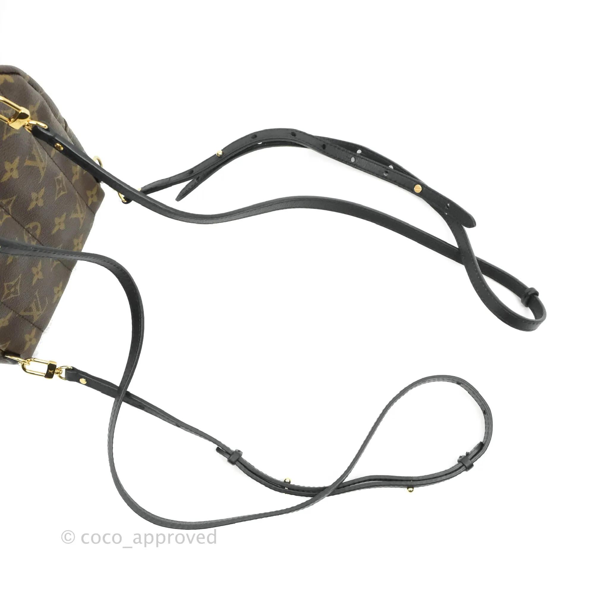 Louis Vuitton Monogram Mini Palm Springs Backpack
