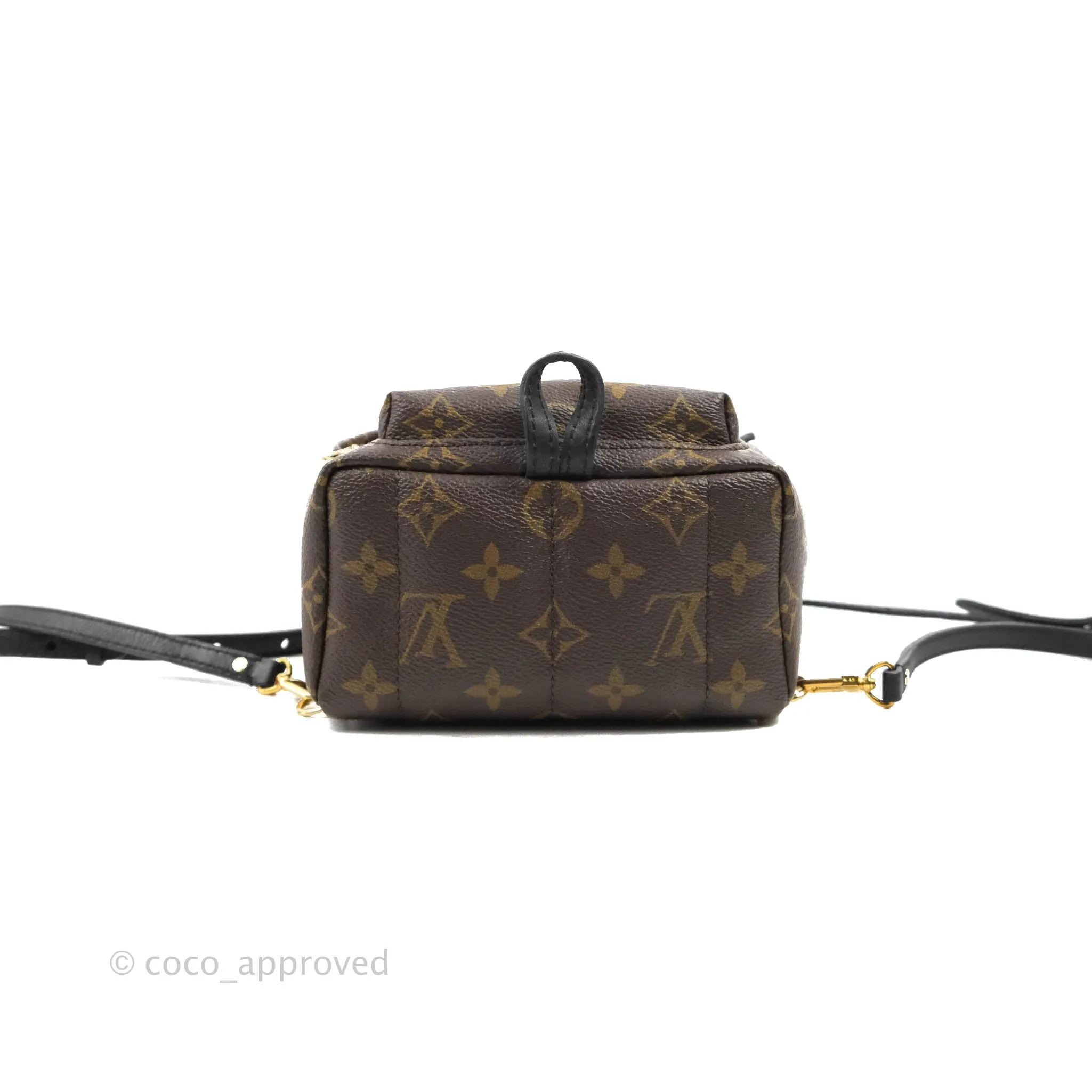 Louis Vuitton Monogram Mini Palm Springs Backpack