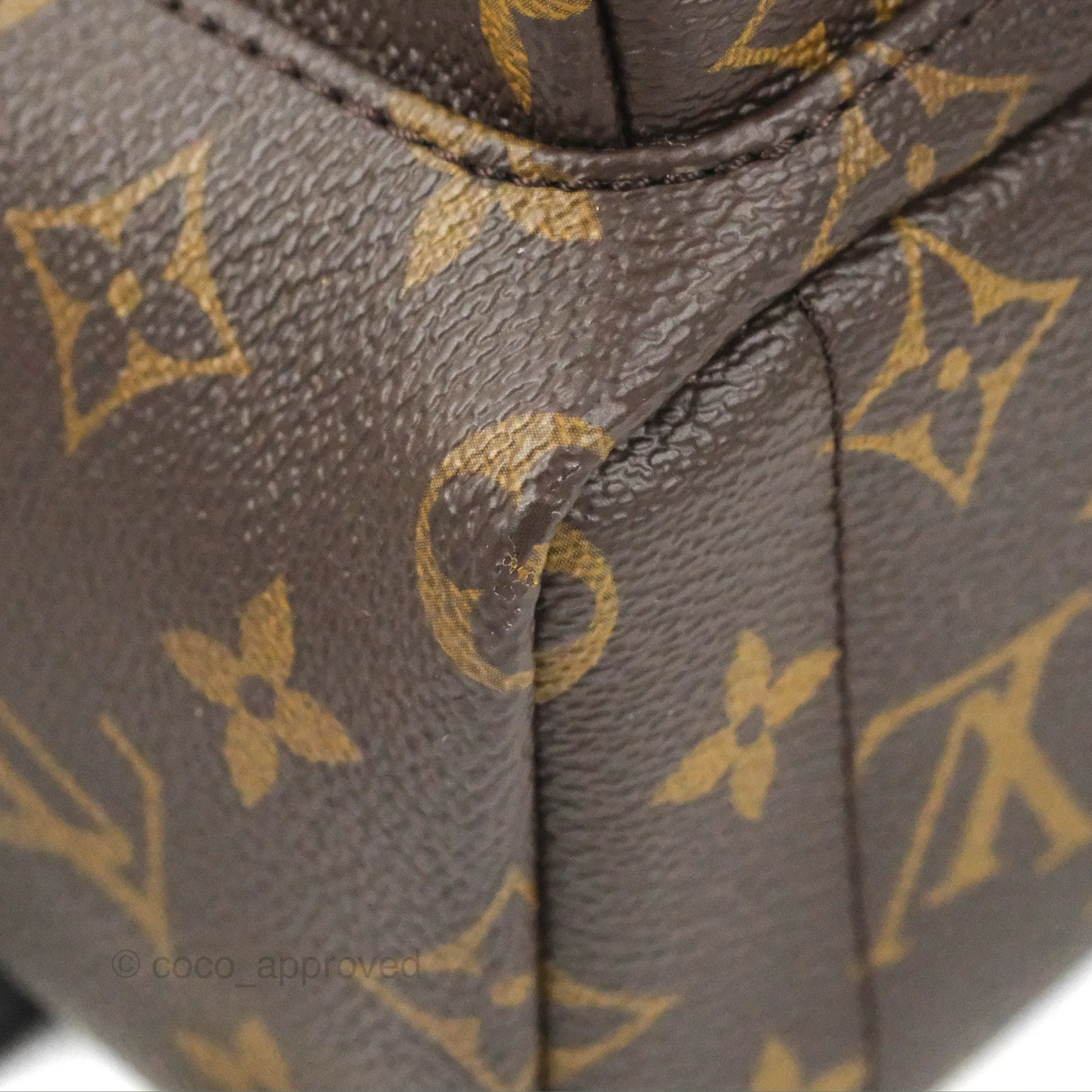 Louis Vuitton Monogram Mini Palm Springs Backpack