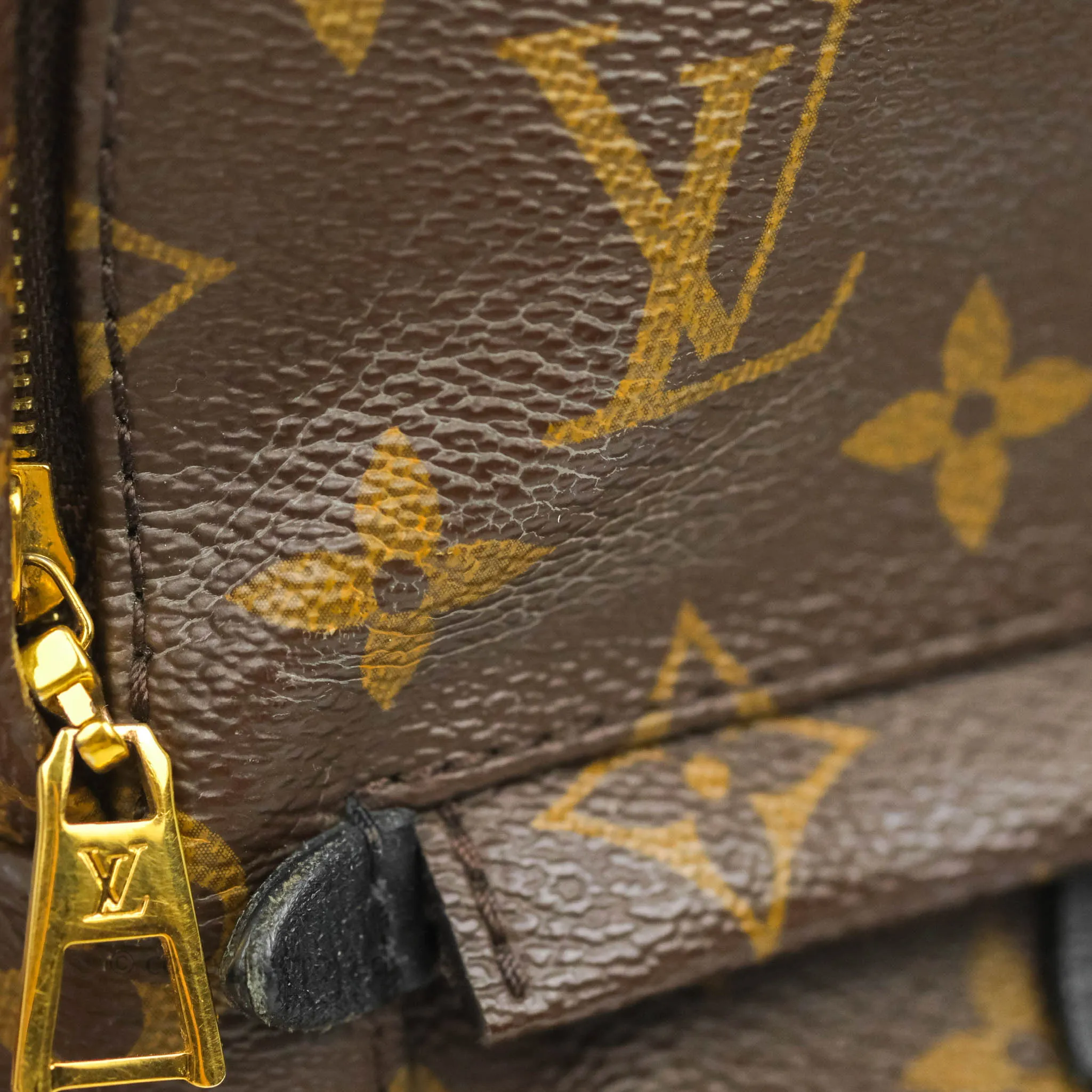 Louis Vuitton Monogram Mini Palm Springs Backpack