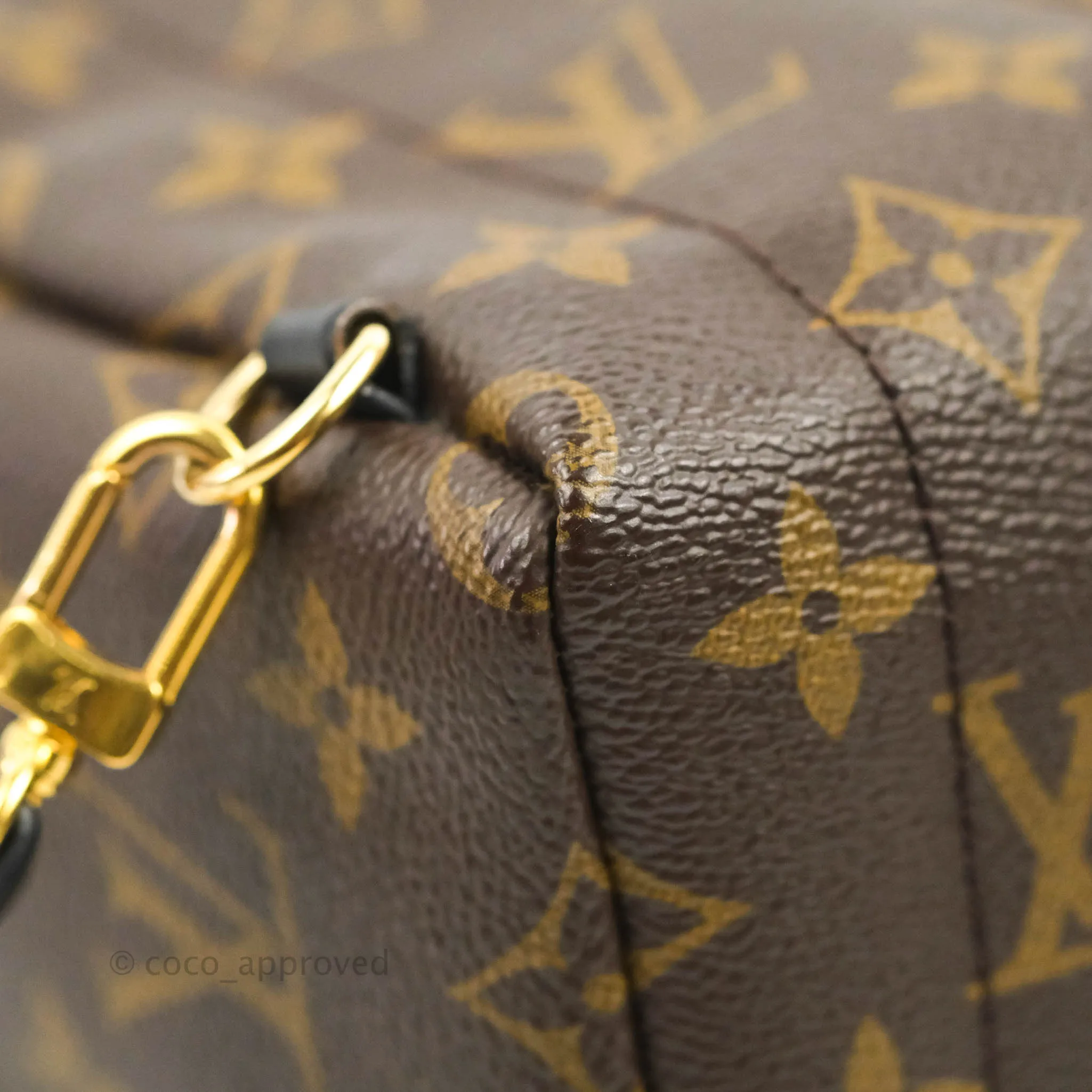 Louis Vuitton Monogram Mini Palm Springs Backpack