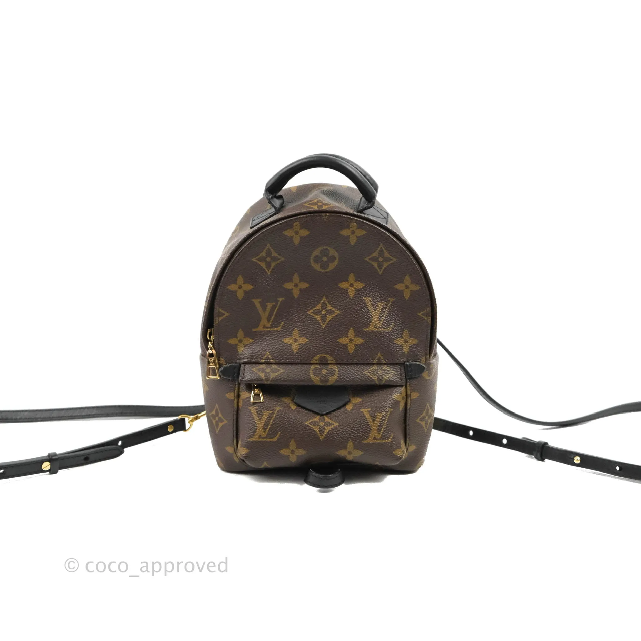 Louis Vuitton Monogram Mini Palm Springs Backpack