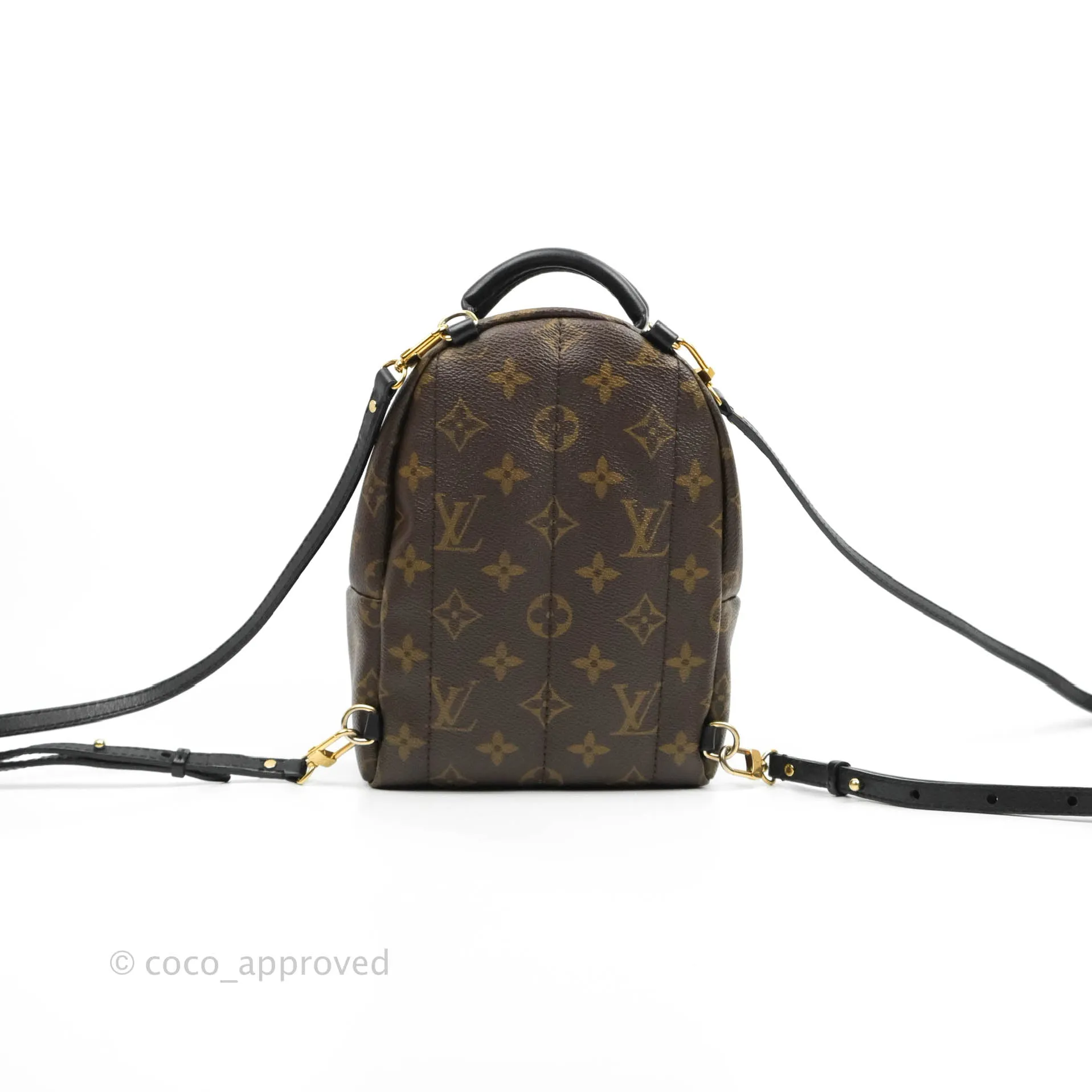 Louis Vuitton Monogram Mini Palm Springs Backpack