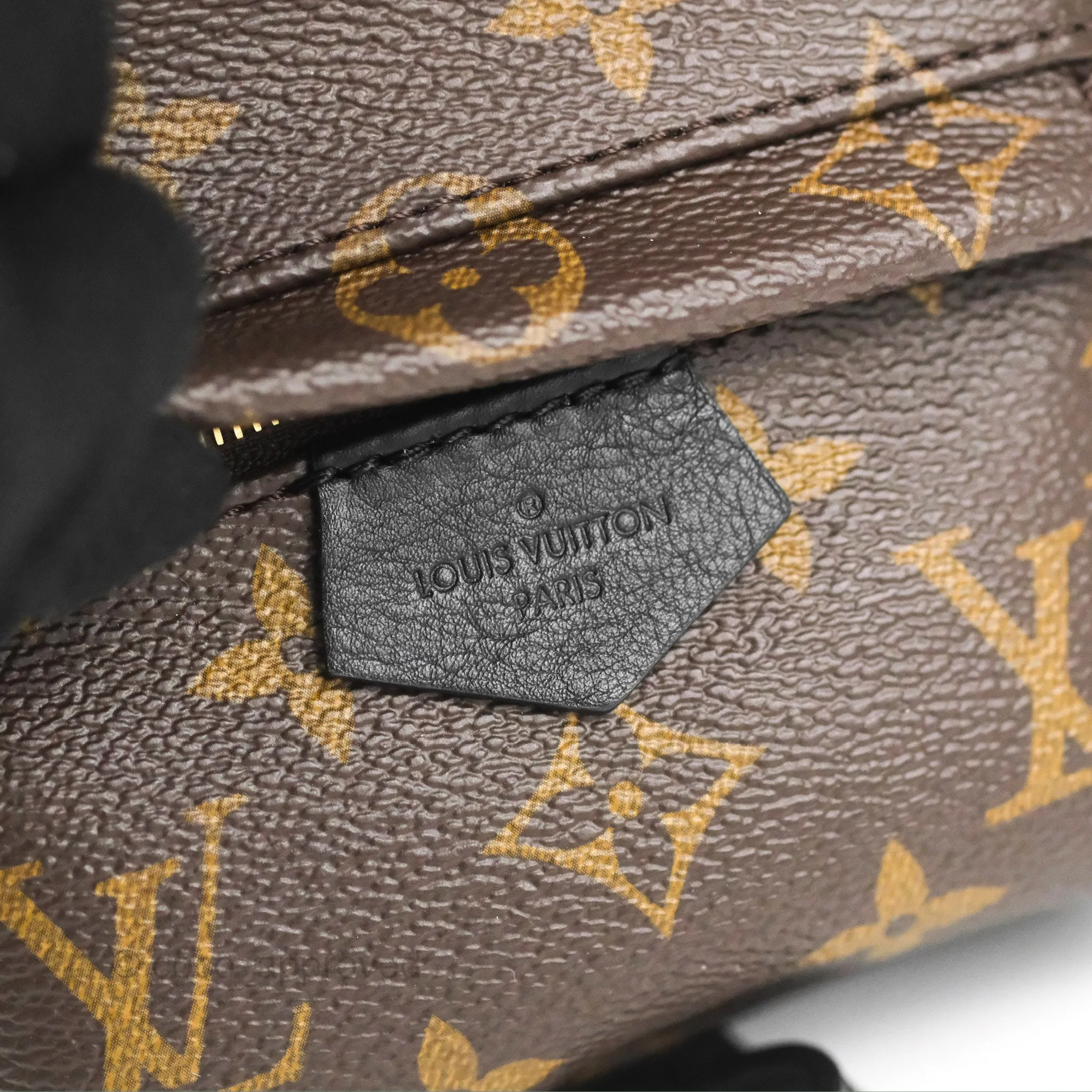 Louis Vuitton Monogram Mini Palm Springs Backpack