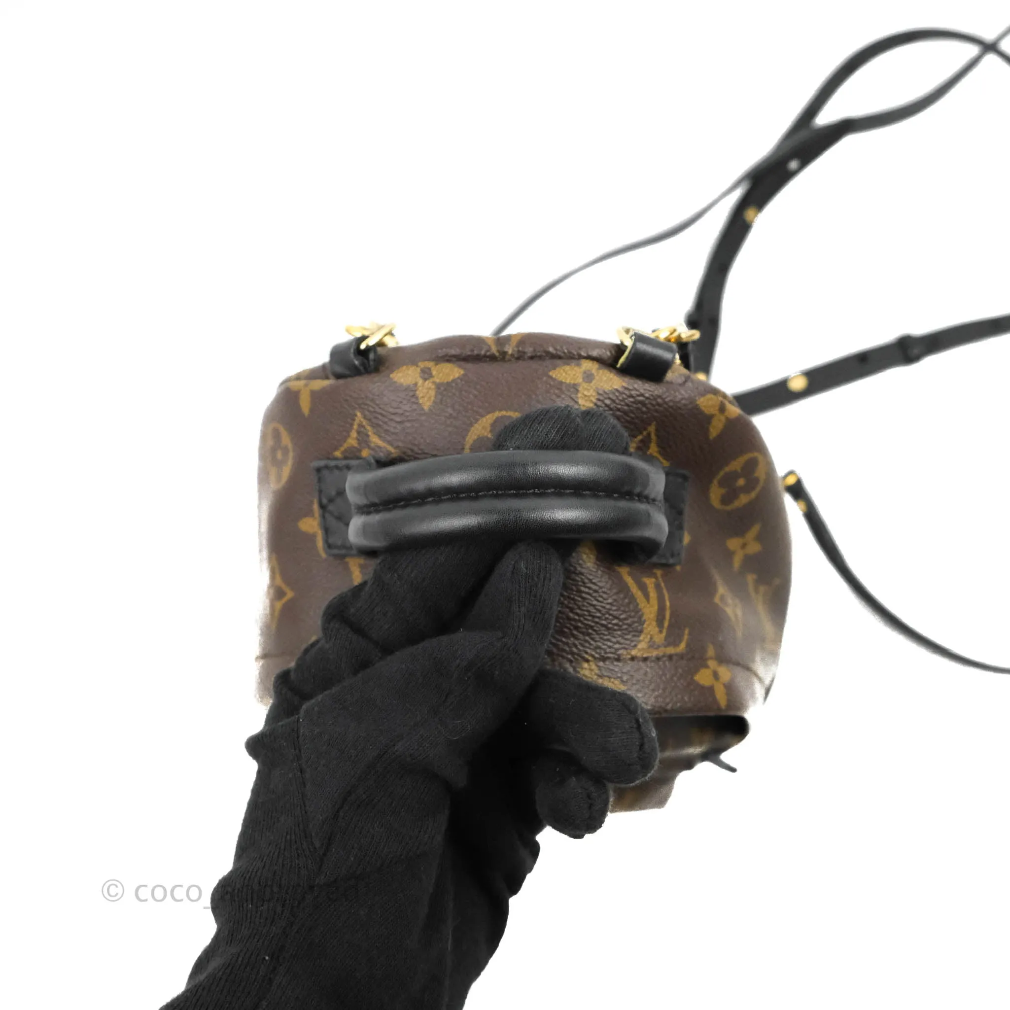 Louis Vuitton Monogram Mini Palm Springs Backpack