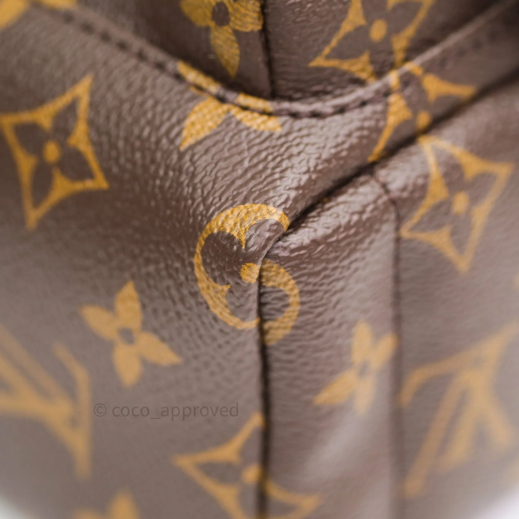 Louis Vuitton Monogram Mini Palm Springs Backpack