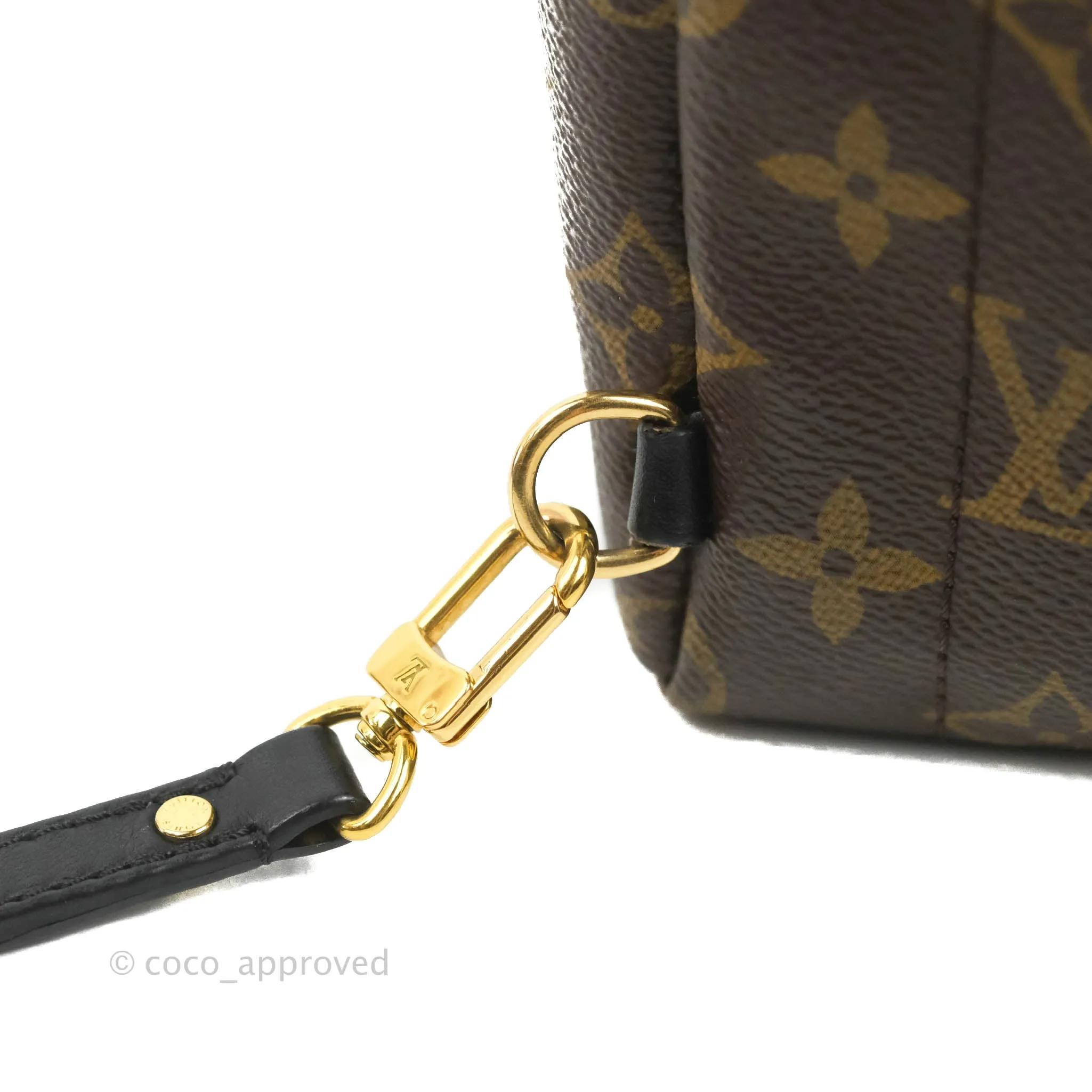 Louis Vuitton Monogram Mini Palm Springs Backpack