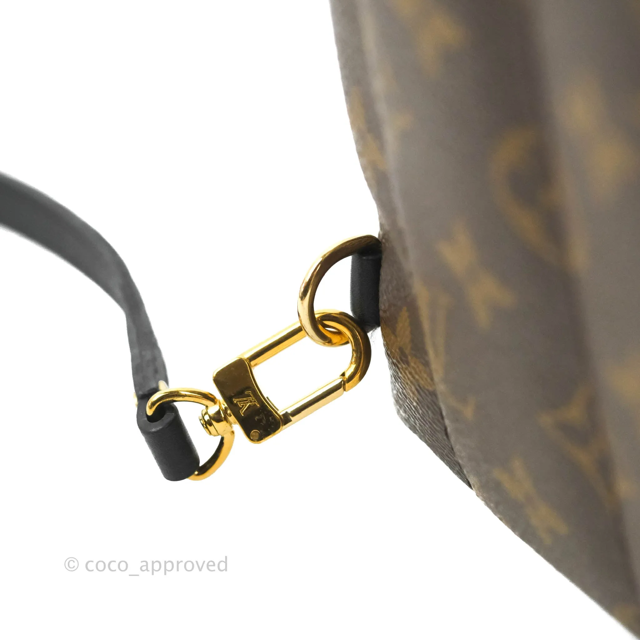 Louis Vuitton Monogram Mini Palm Springs Backpack