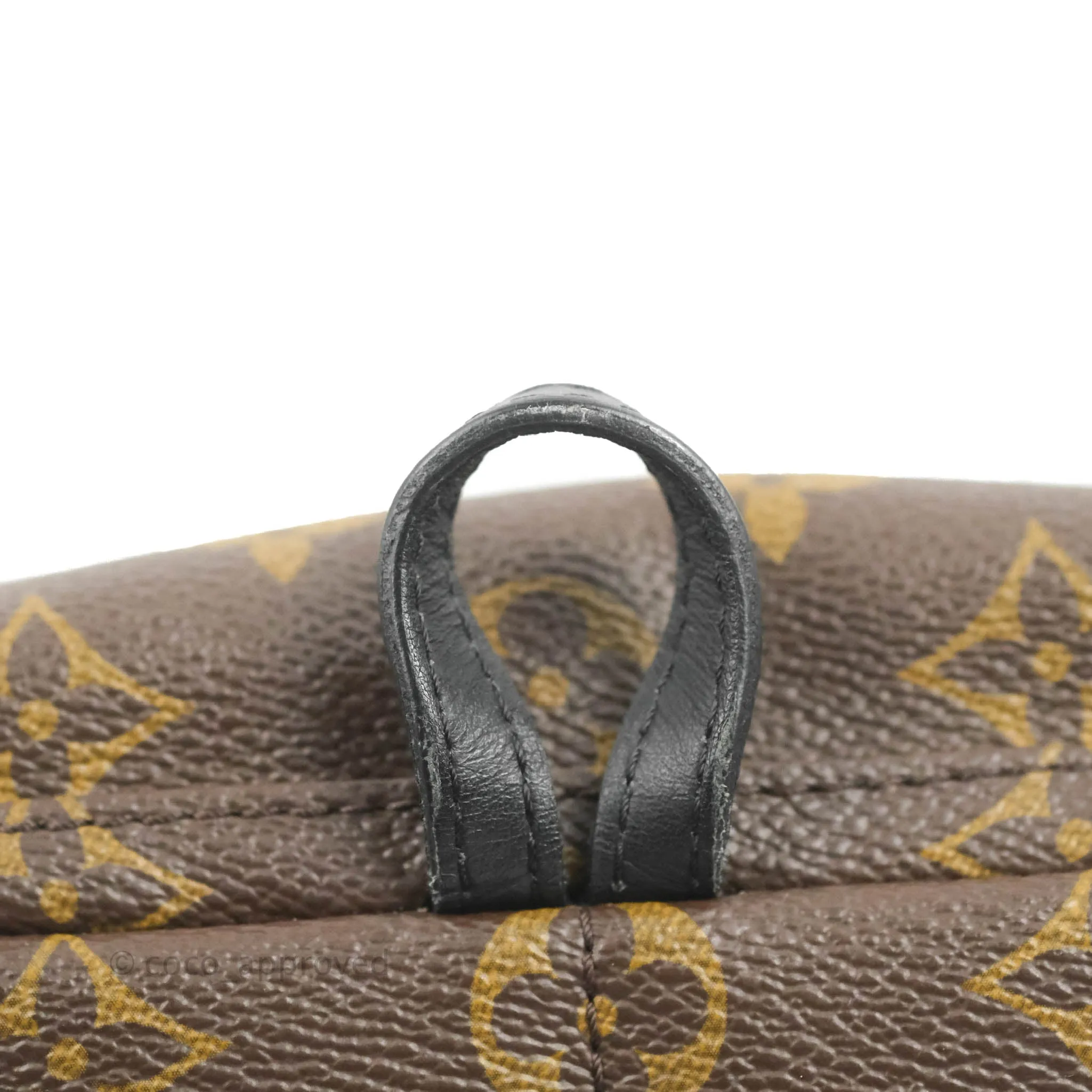 Louis Vuitton Monogram Mini Palm Springs Backpack
