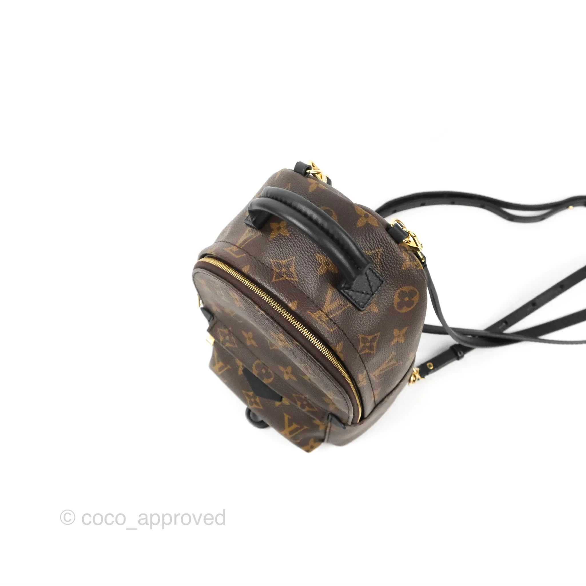 Louis Vuitton Monogram Mini Palm Springs Backpack