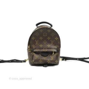 Louis Vuitton Monogram Mini Palm Springs Backpack