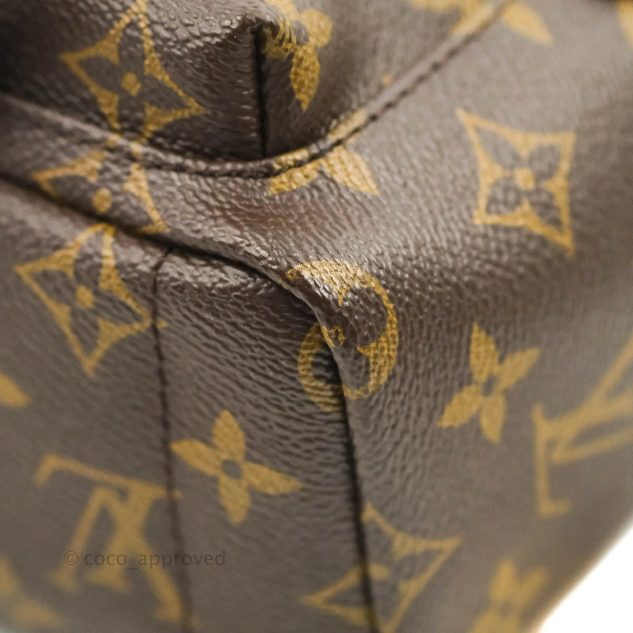 Louis Vuitton Monogram Mini Palm Springs Backpack