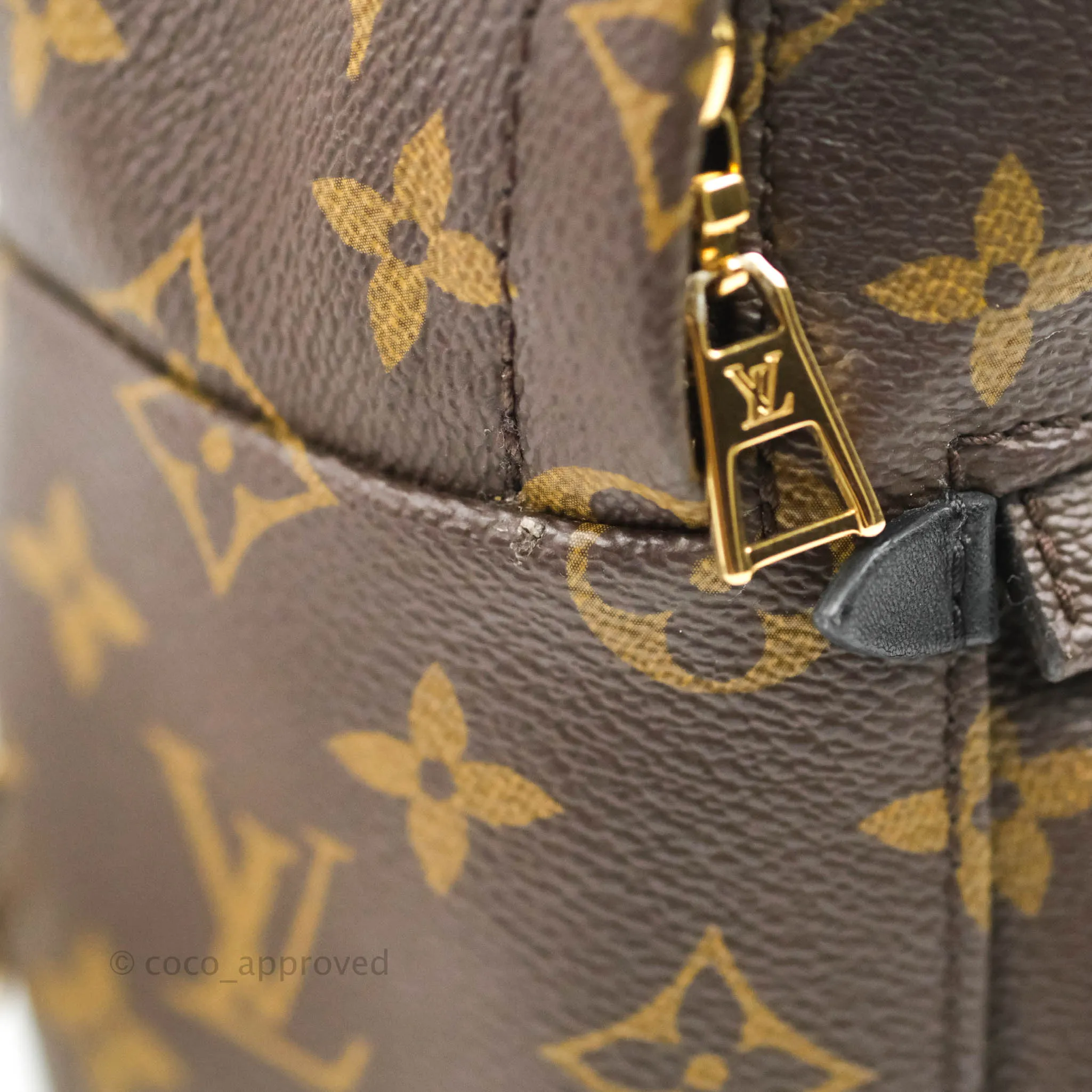 Louis Vuitton Monogram Mini Palm Springs Backpack