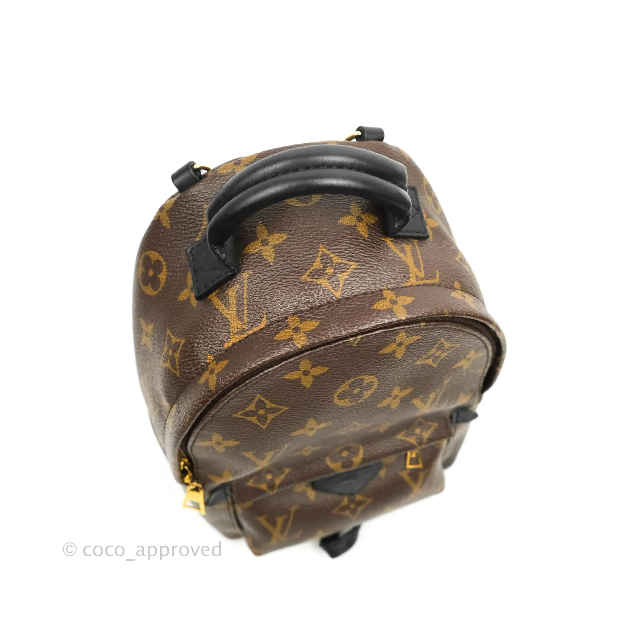 Louis Vuitton Monogram Mini Palm Springs Backpack