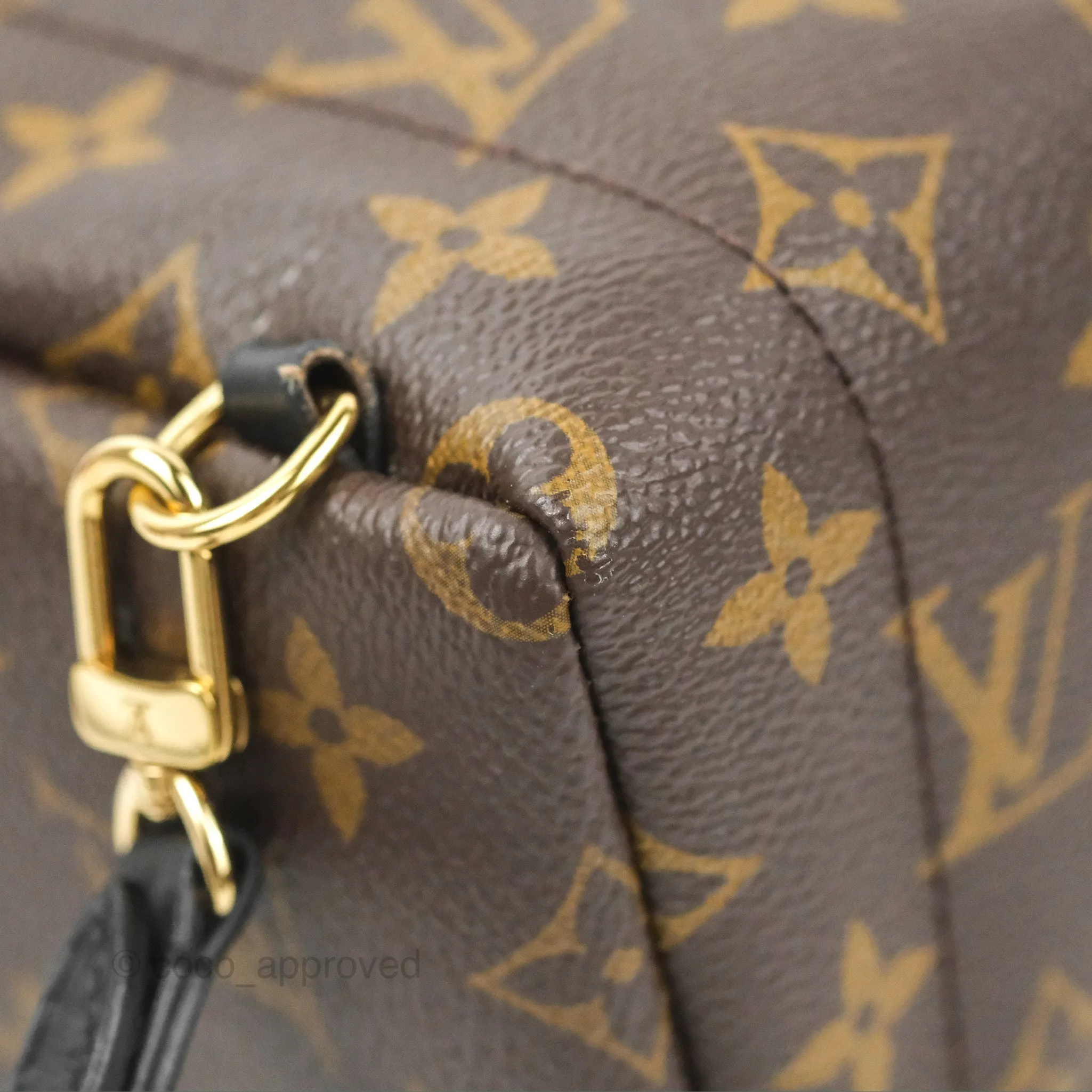 Louis Vuitton Monogram Mini Palm Springs Backpack