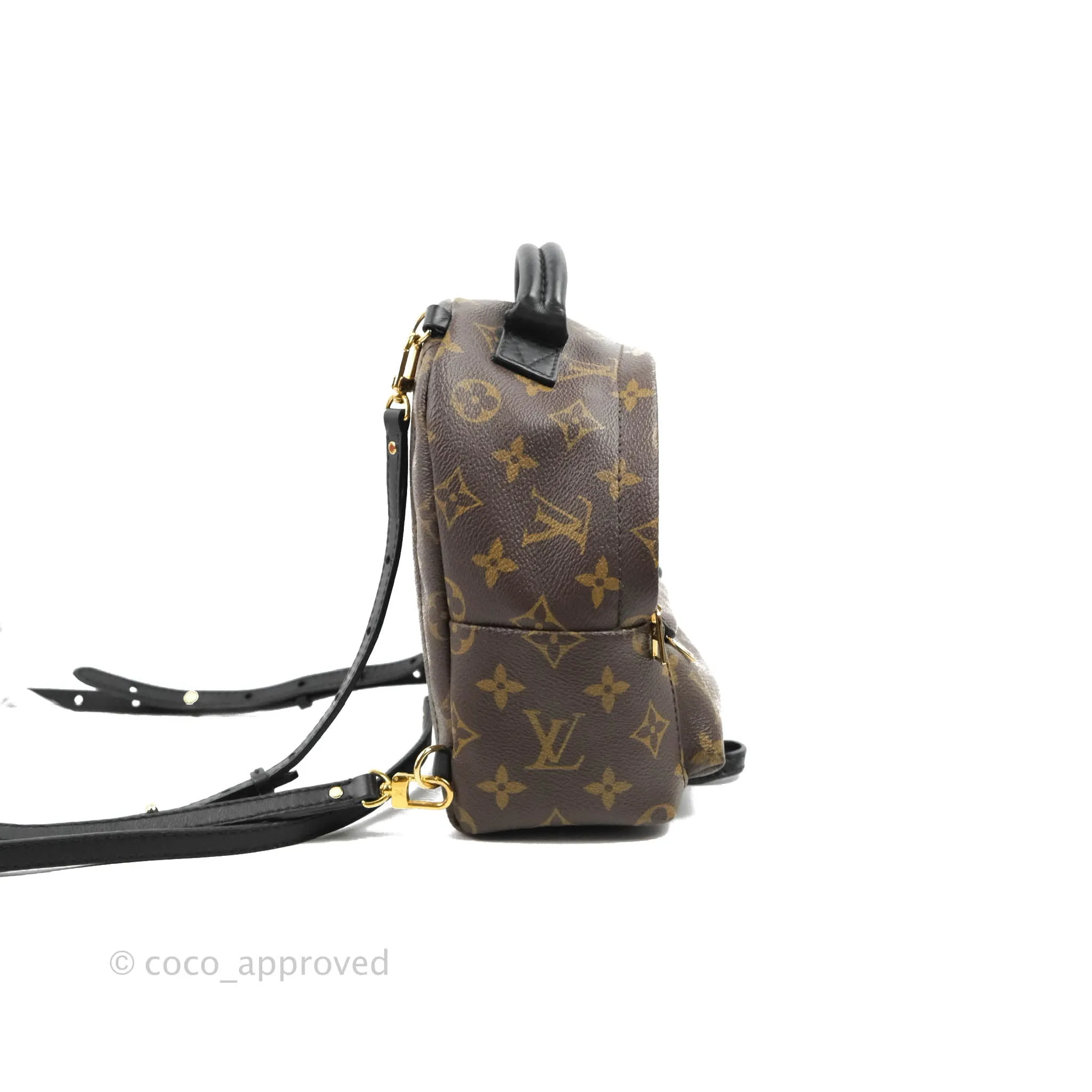 Louis Vuitton Monogram Mini Palm Springs Backpack