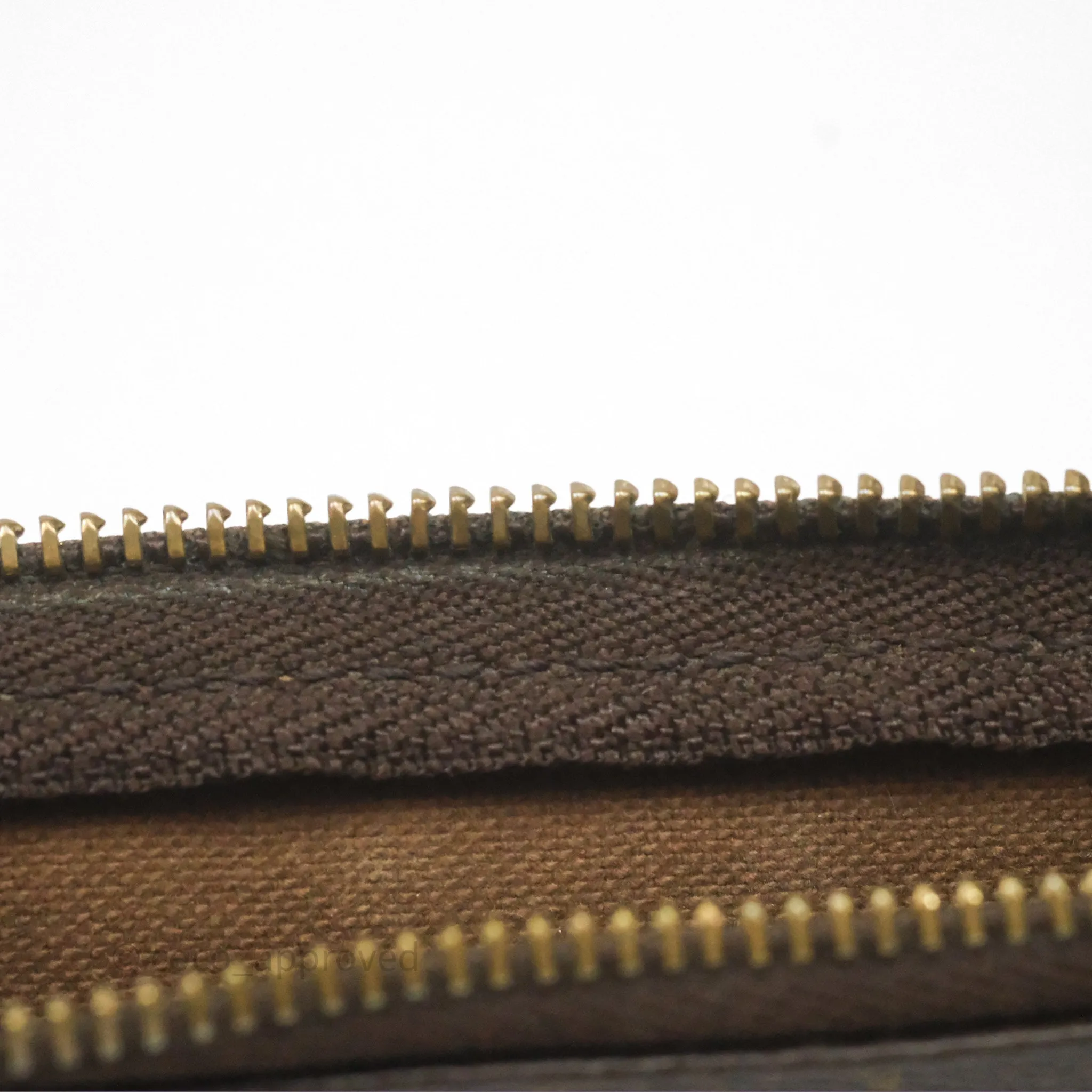 Louis Vuitton Monogram Mini Pochette Accessories