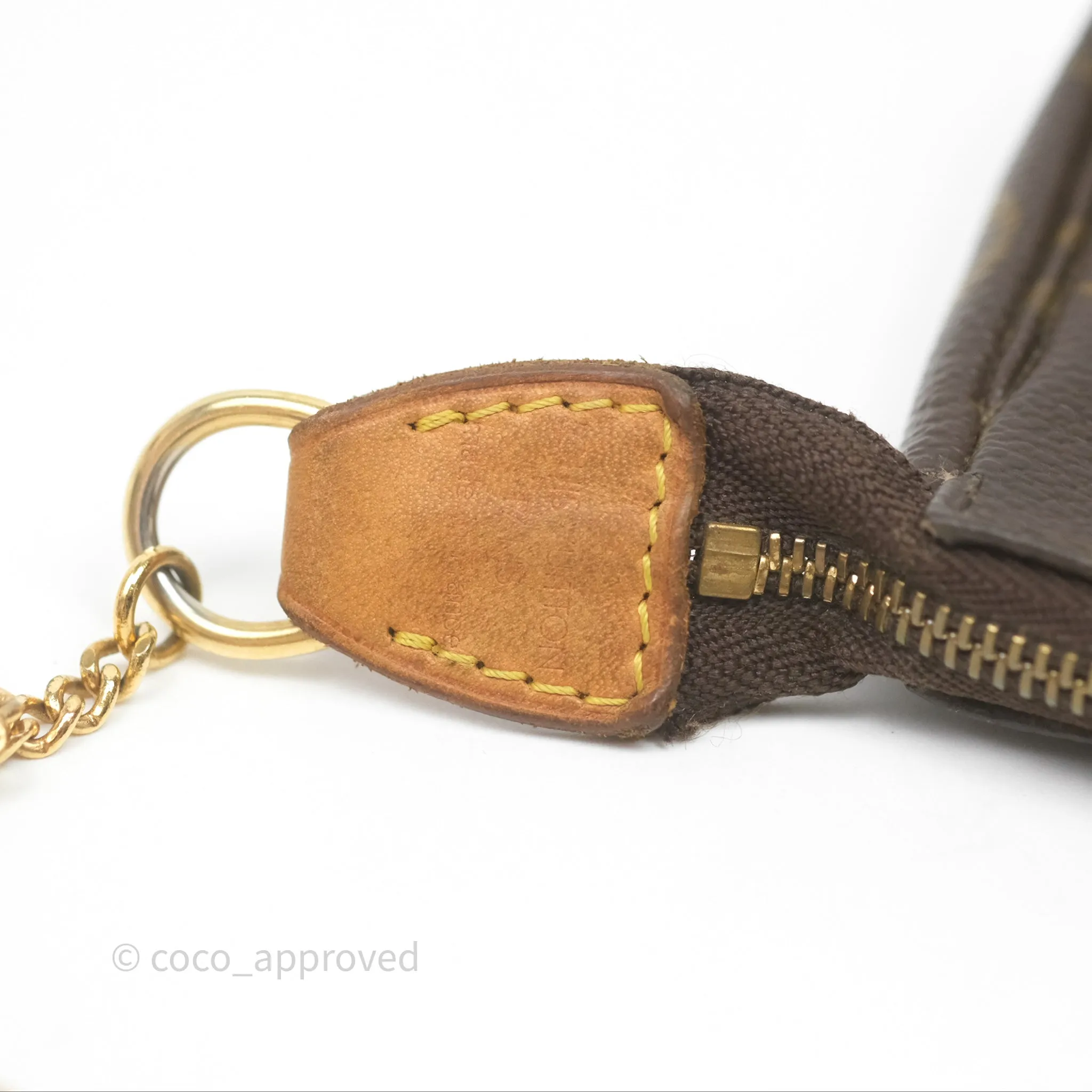 Louis Vuitton Monogram Mini Pochette Accessories