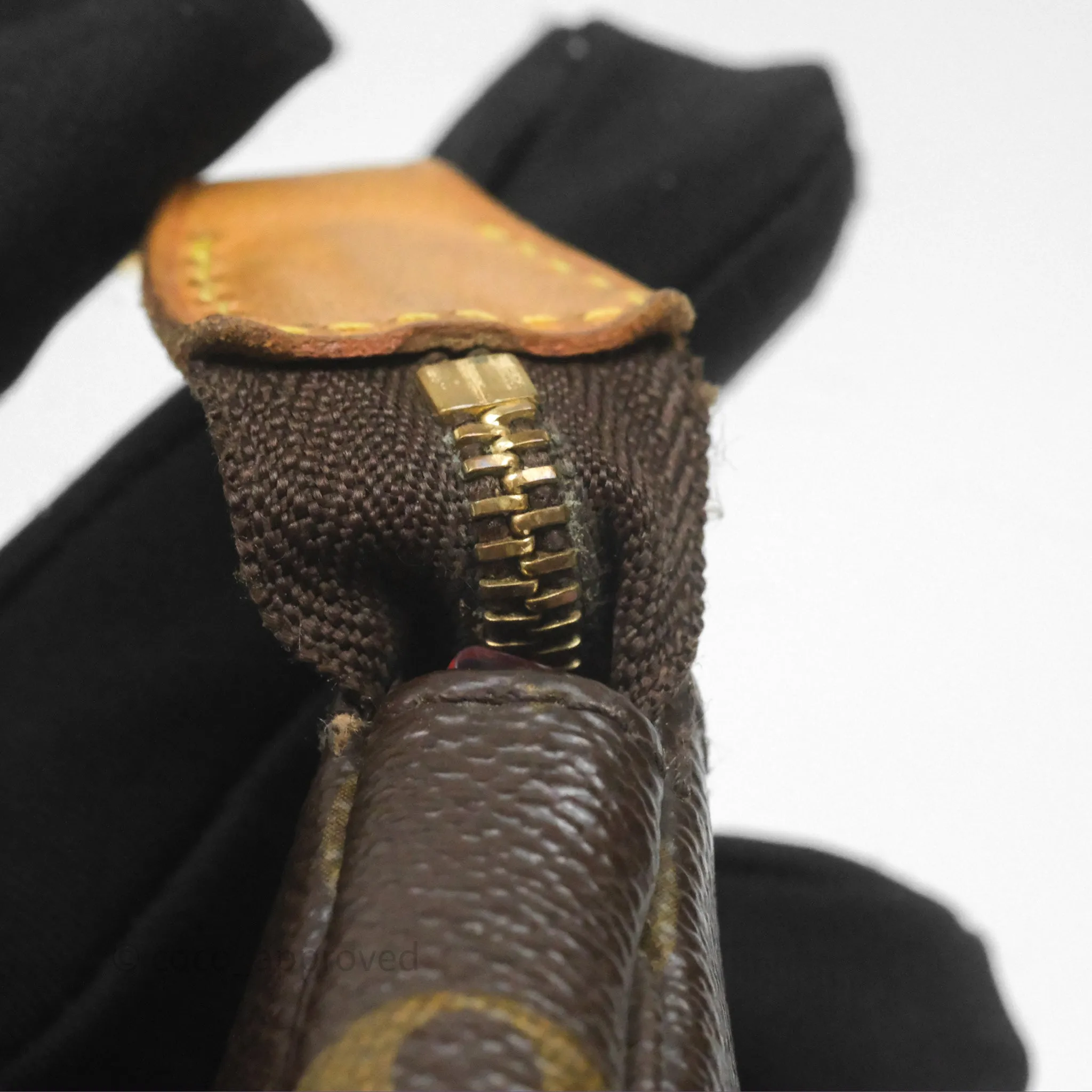 Louis Vuitton Monogram Mini Pochette Accessories