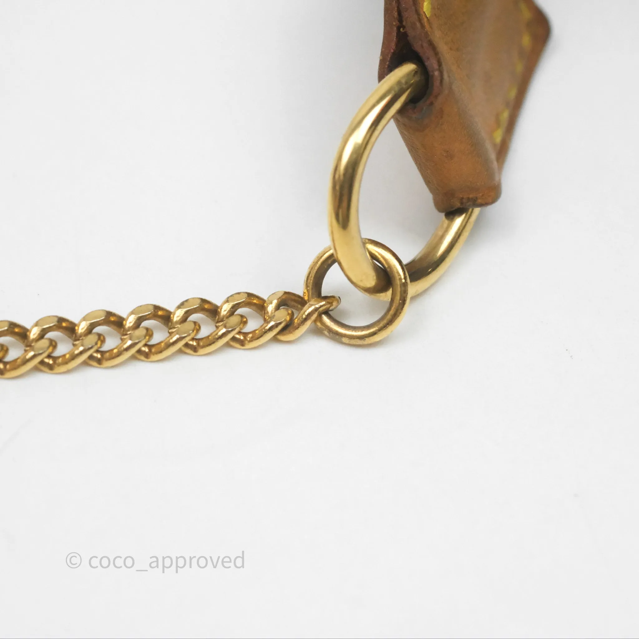 Louis Vuitton Monogram Mini Pochette Accessories