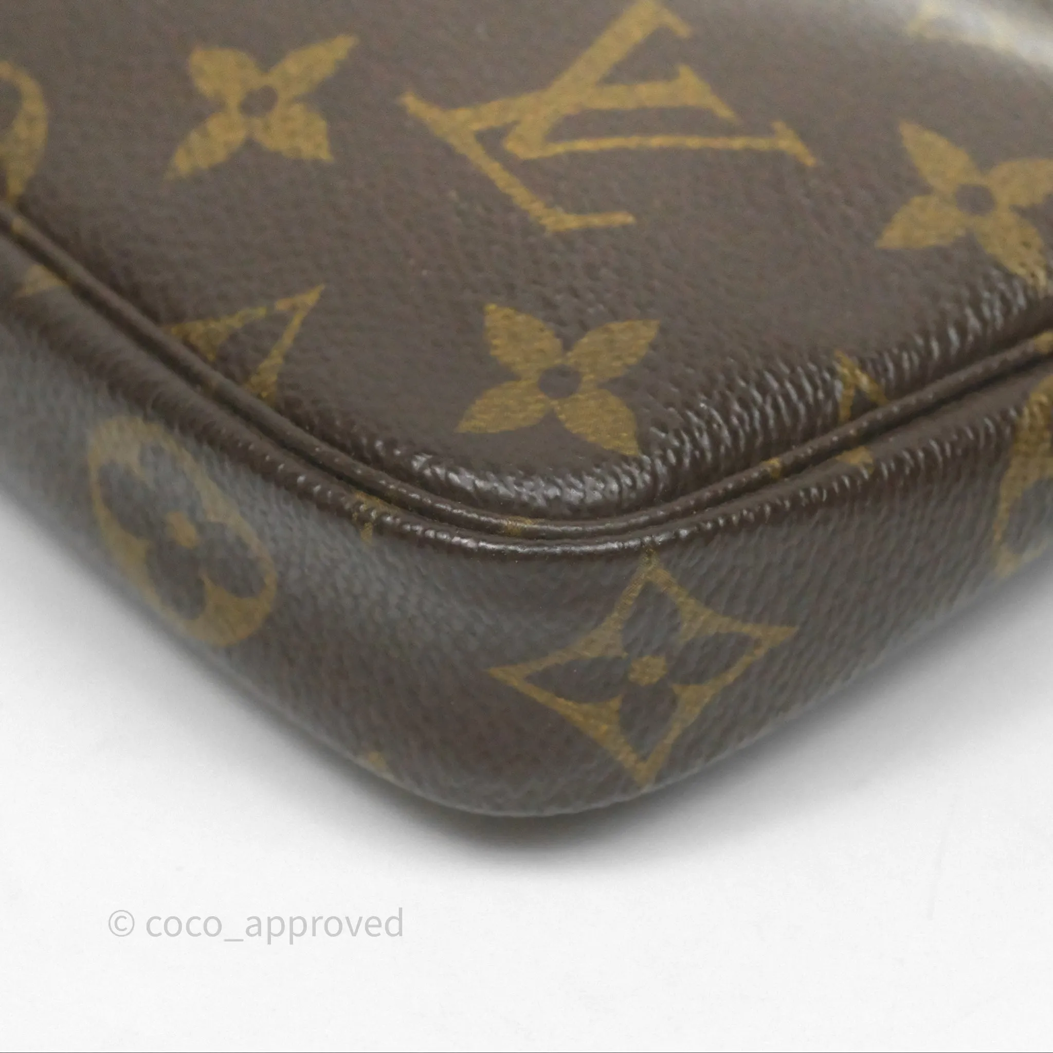 Louis Vuitton Monogram Mini Pochette Accessories