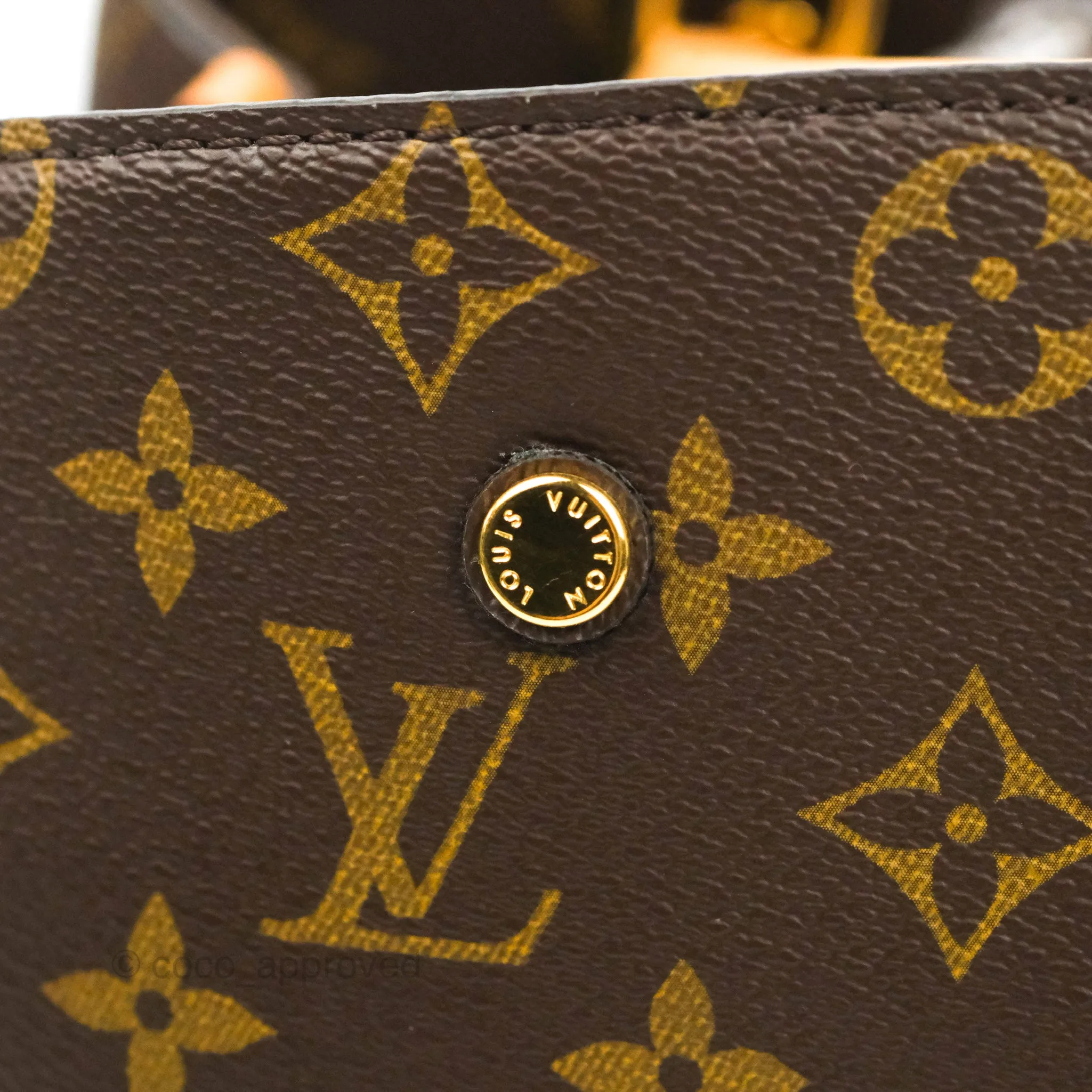 Louis Vuitton Monogram Montaigne MM