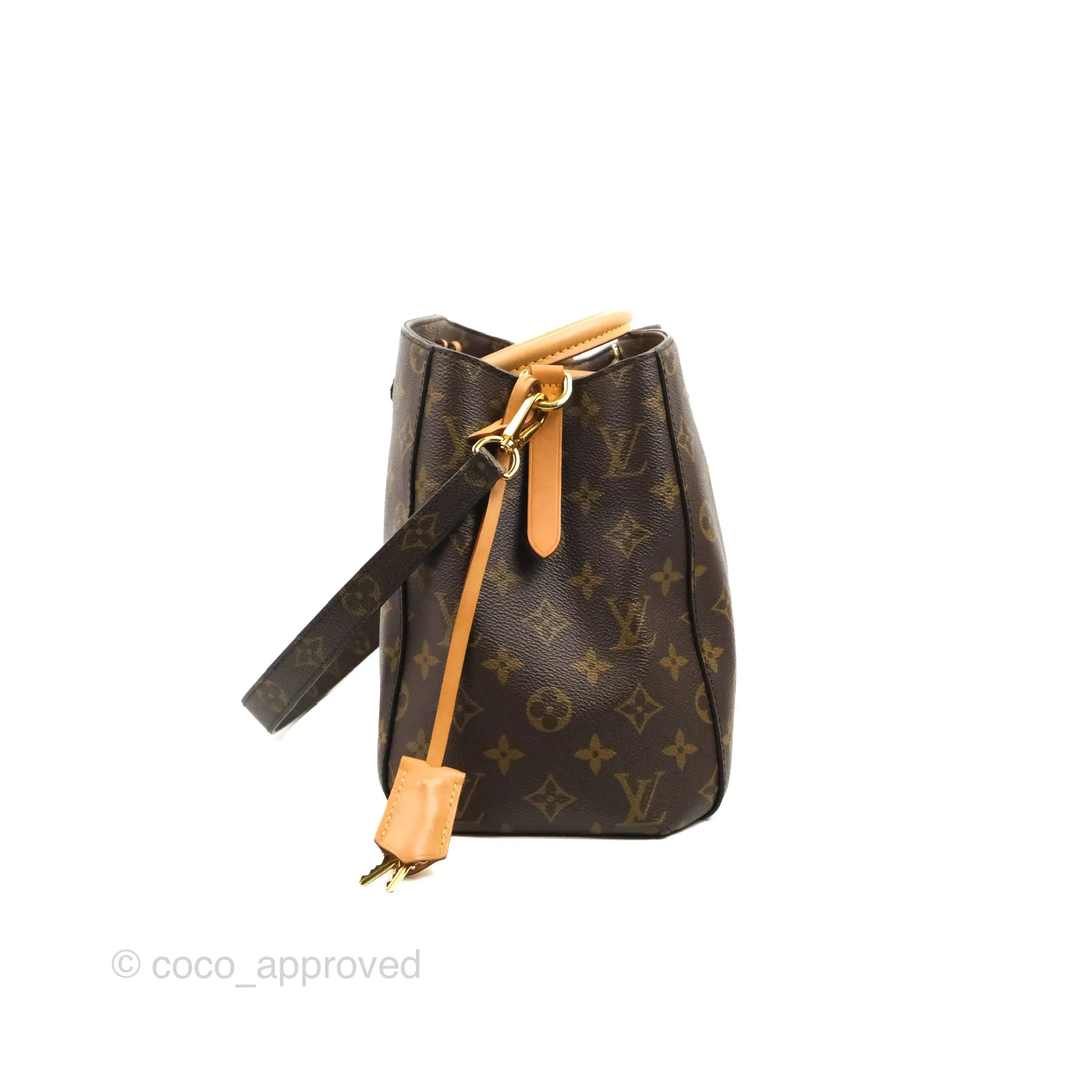 Louis Vuitton Monogram Montaigne MM