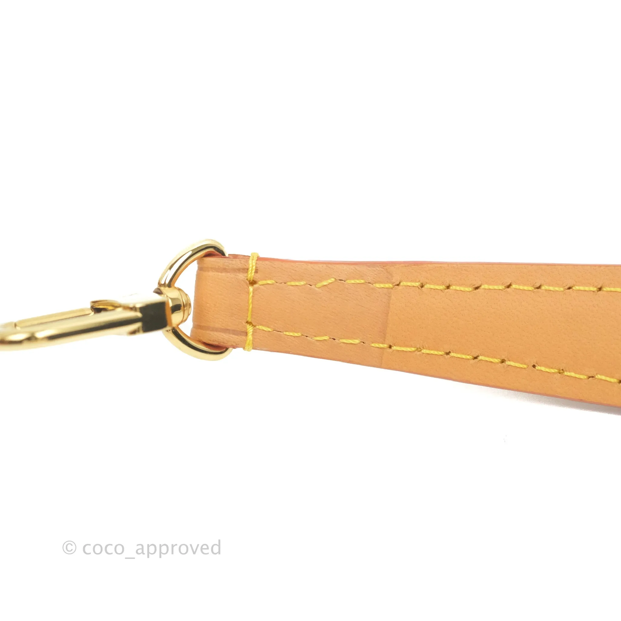 Louis Vuitton Monogram Nano Noe