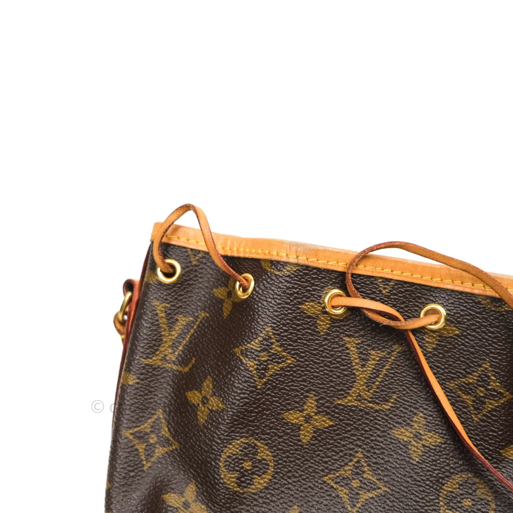 Louis Vuitton Monogram Nano Noe