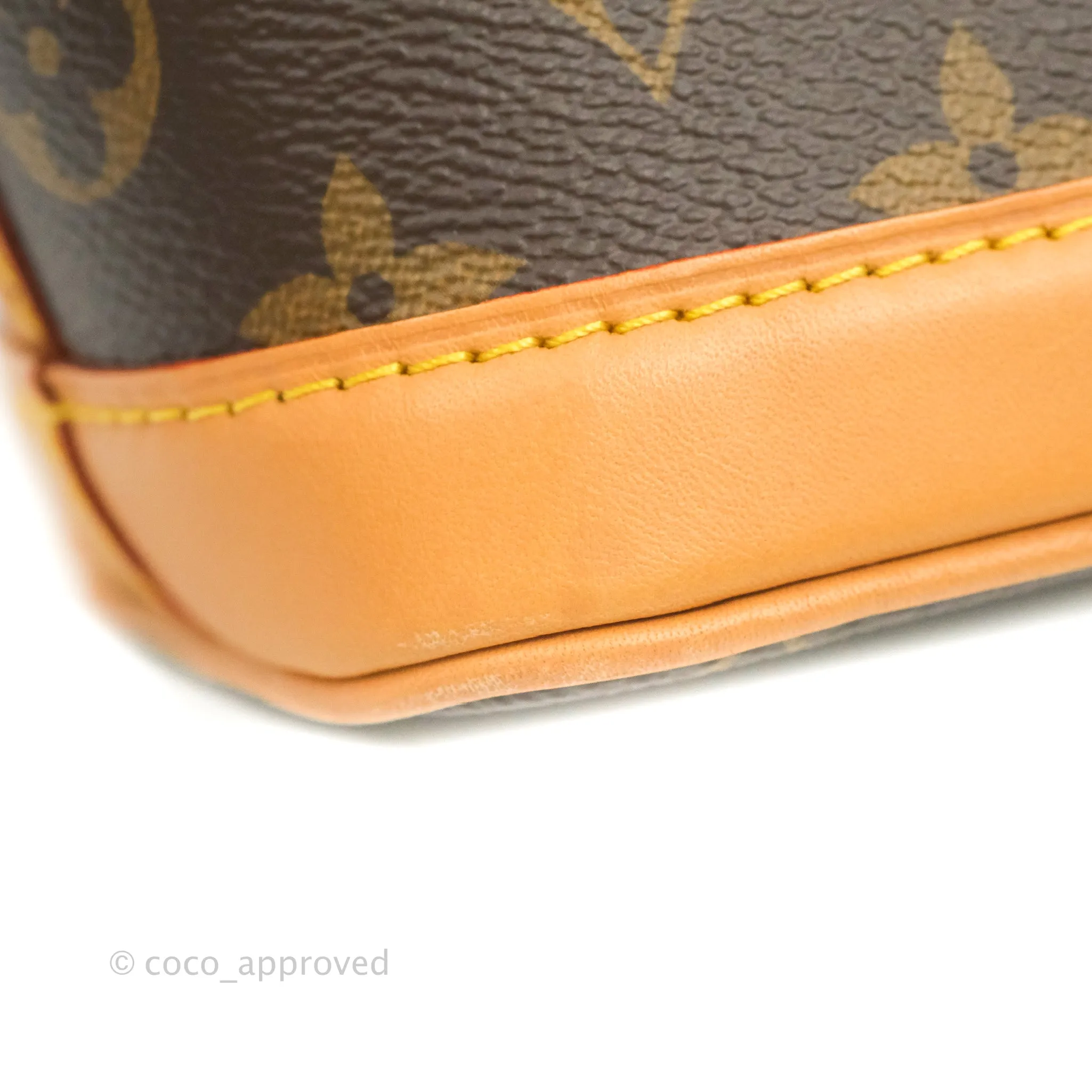 Louis Vuitton Monogram Nano Noe