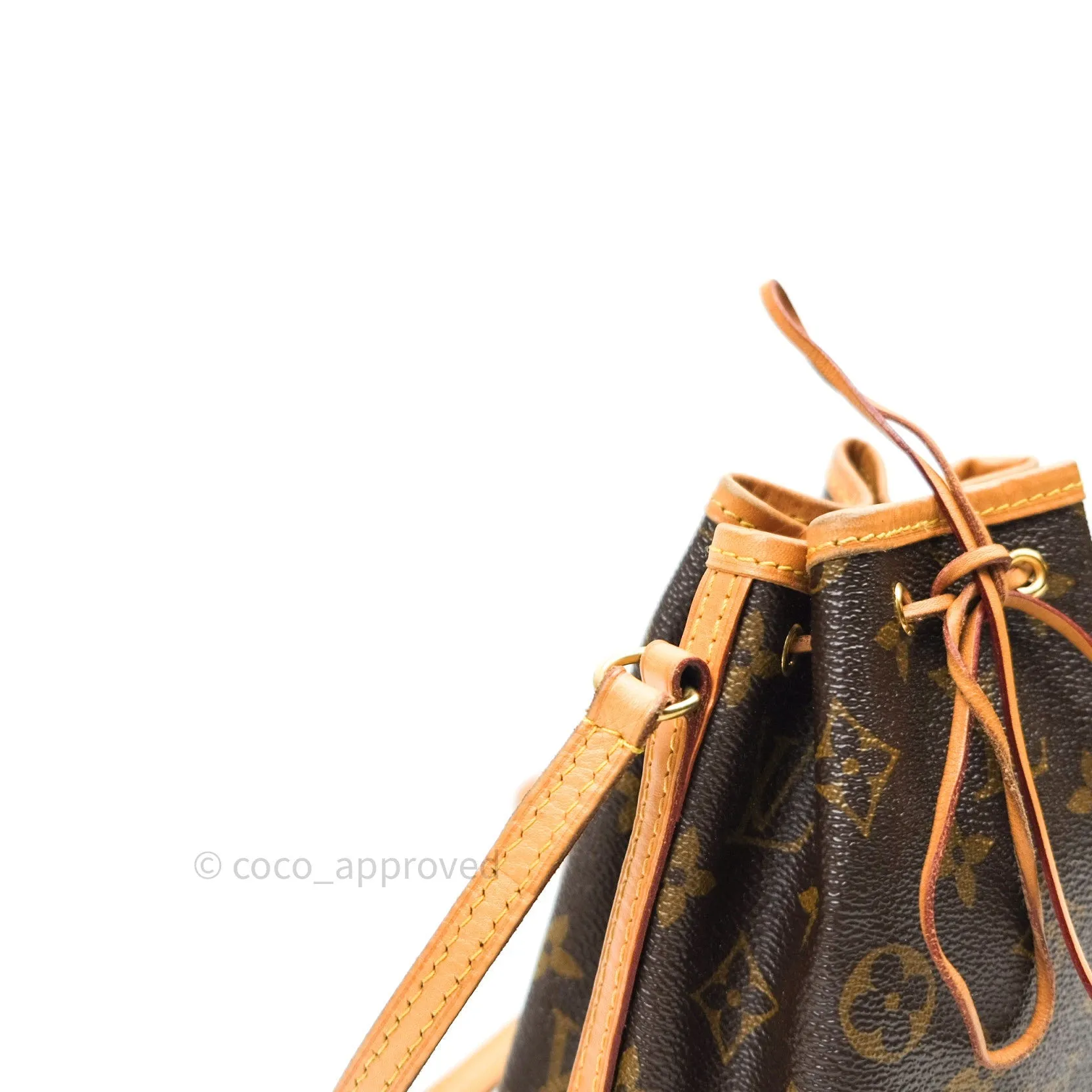Louis Vuitton Monogram Nano Noe