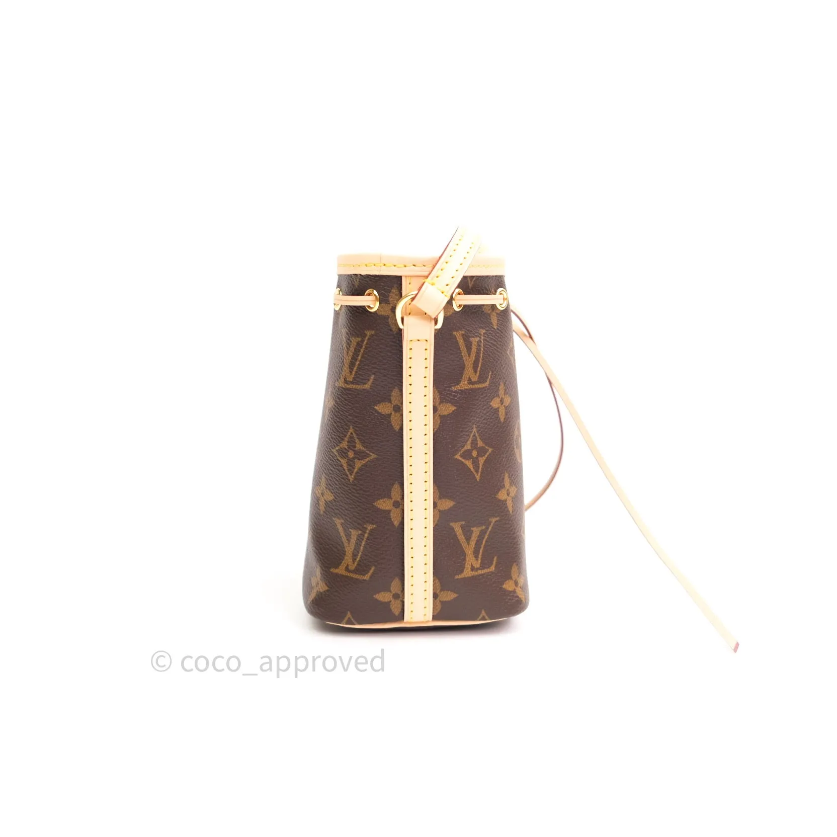 Louis Vuitton Monogram Nano Noe