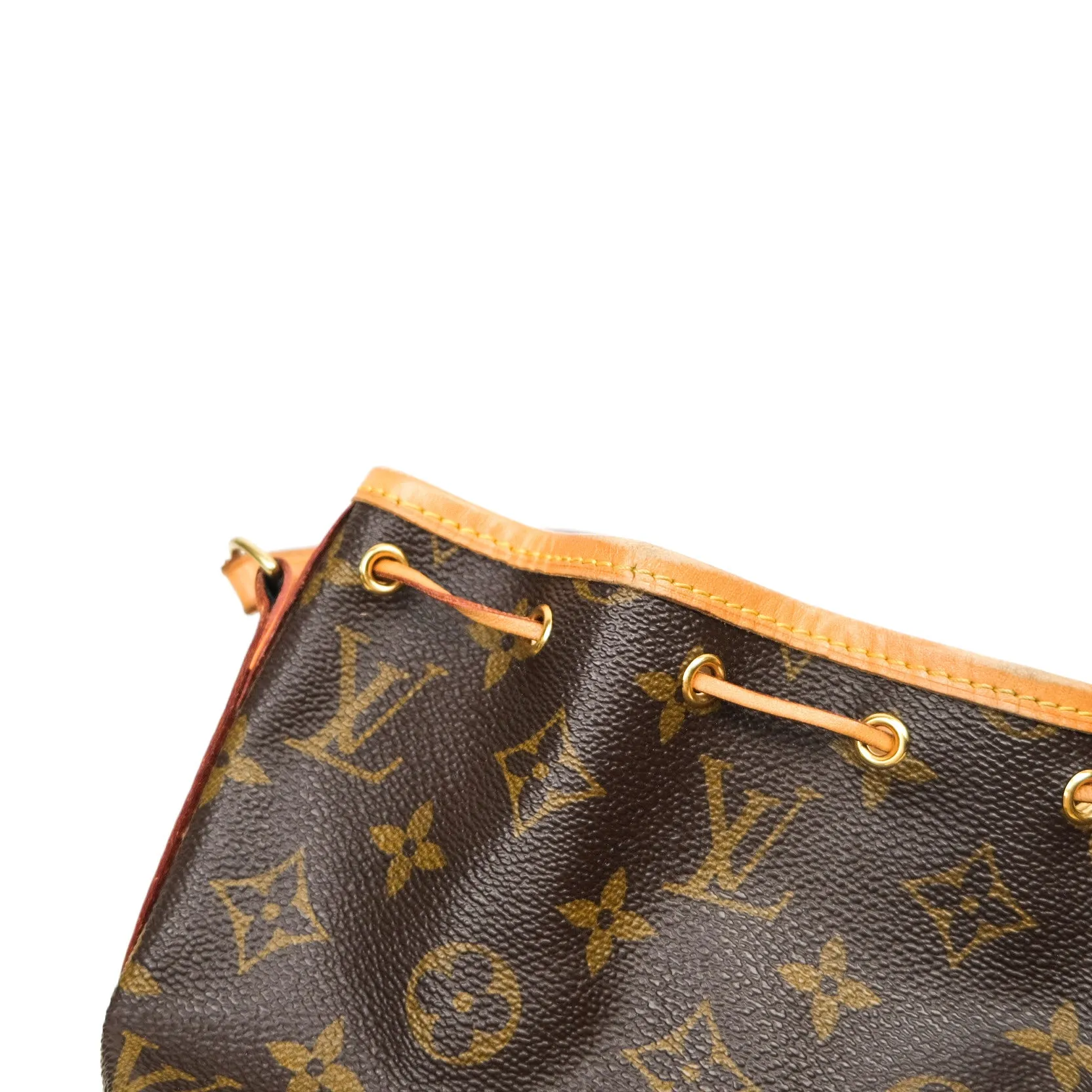 Louis Vuitton Monogram Nano Noe