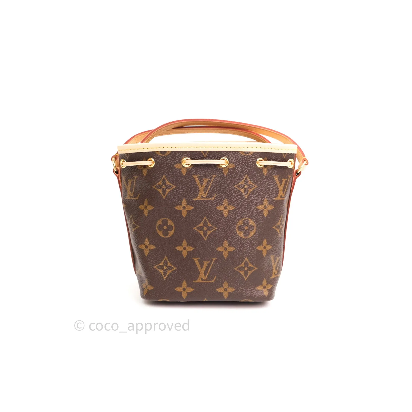 Louis Vuitton Monogram Nano Noe