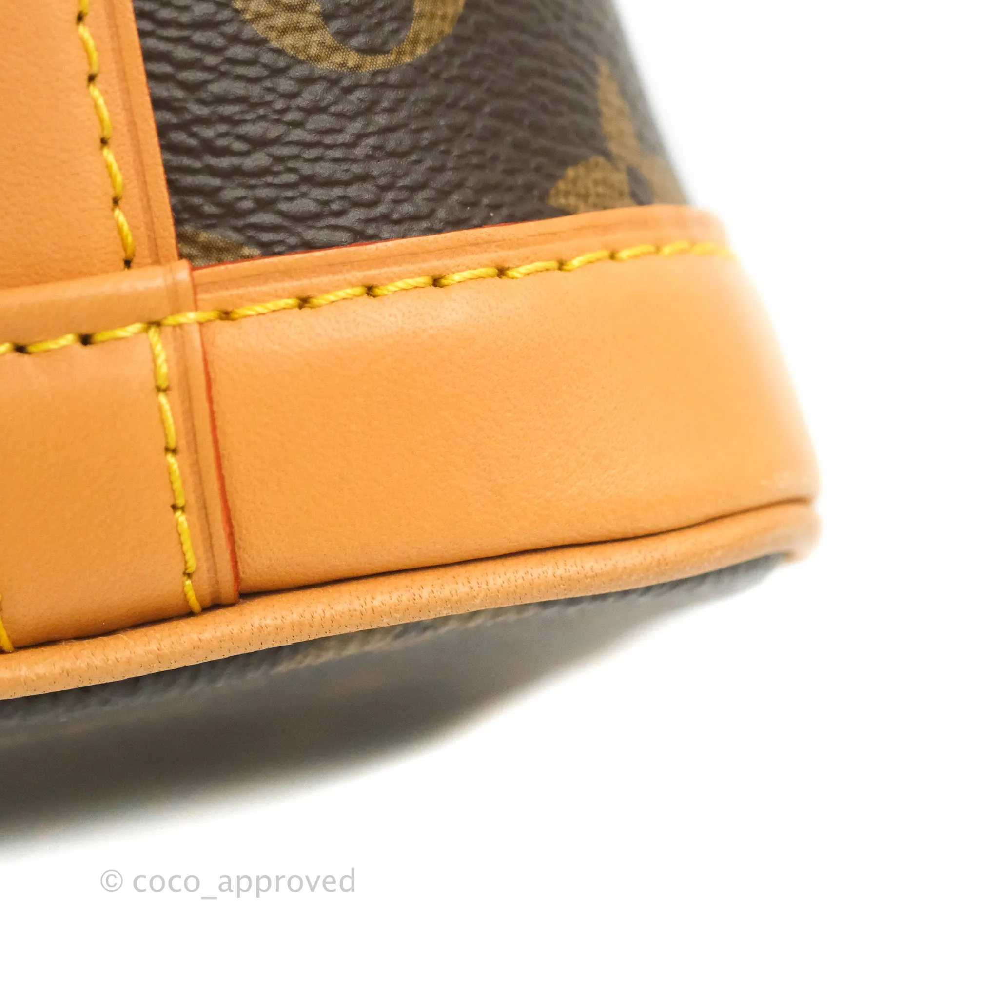 Louis Vuitton Monogram Nano Noe