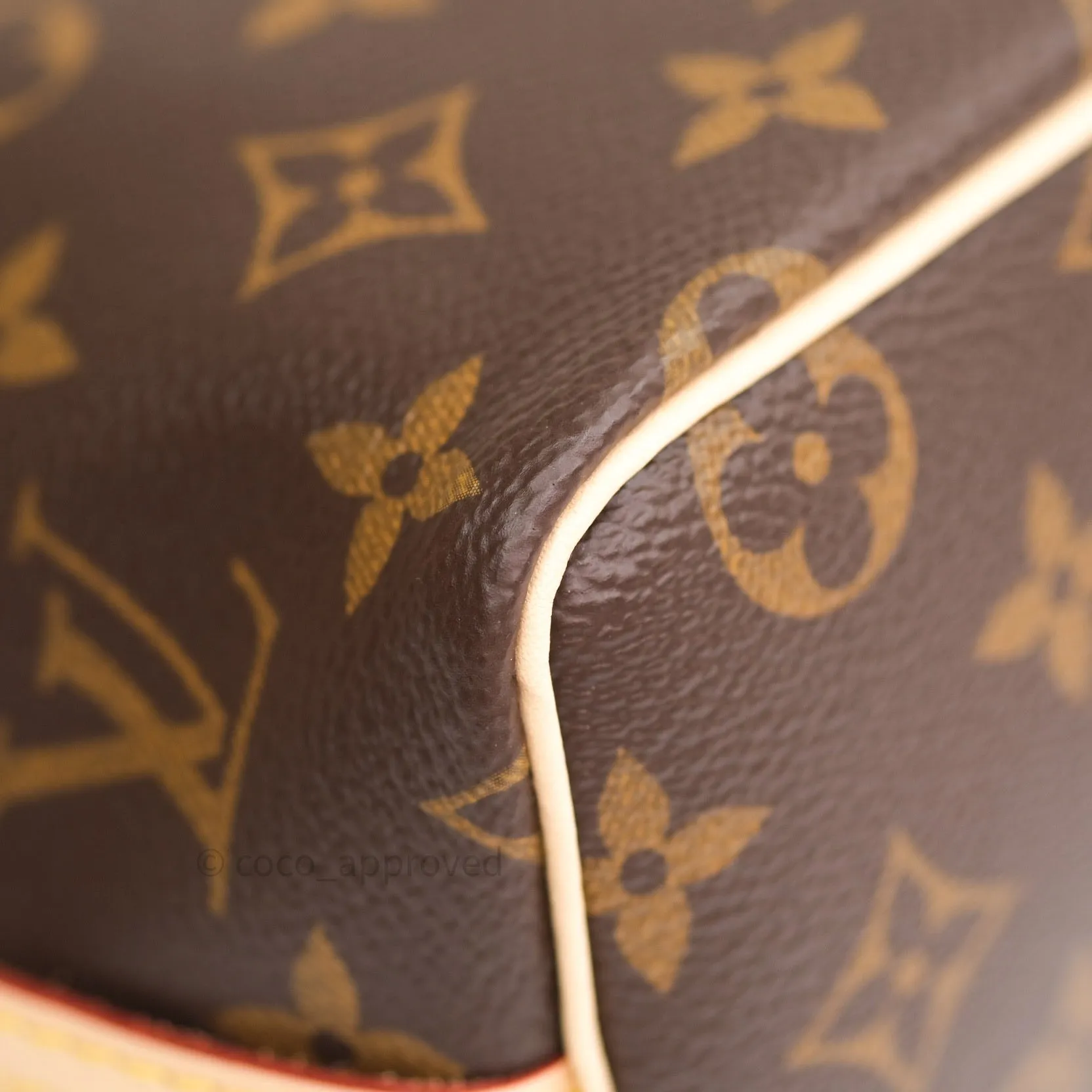 Louis Vuitton Monogram Nano Noe