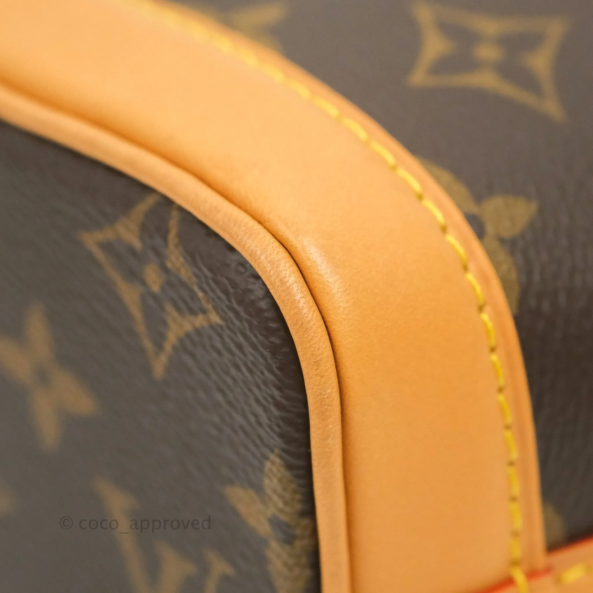 Louis Vuitton Monogram Nano Noe