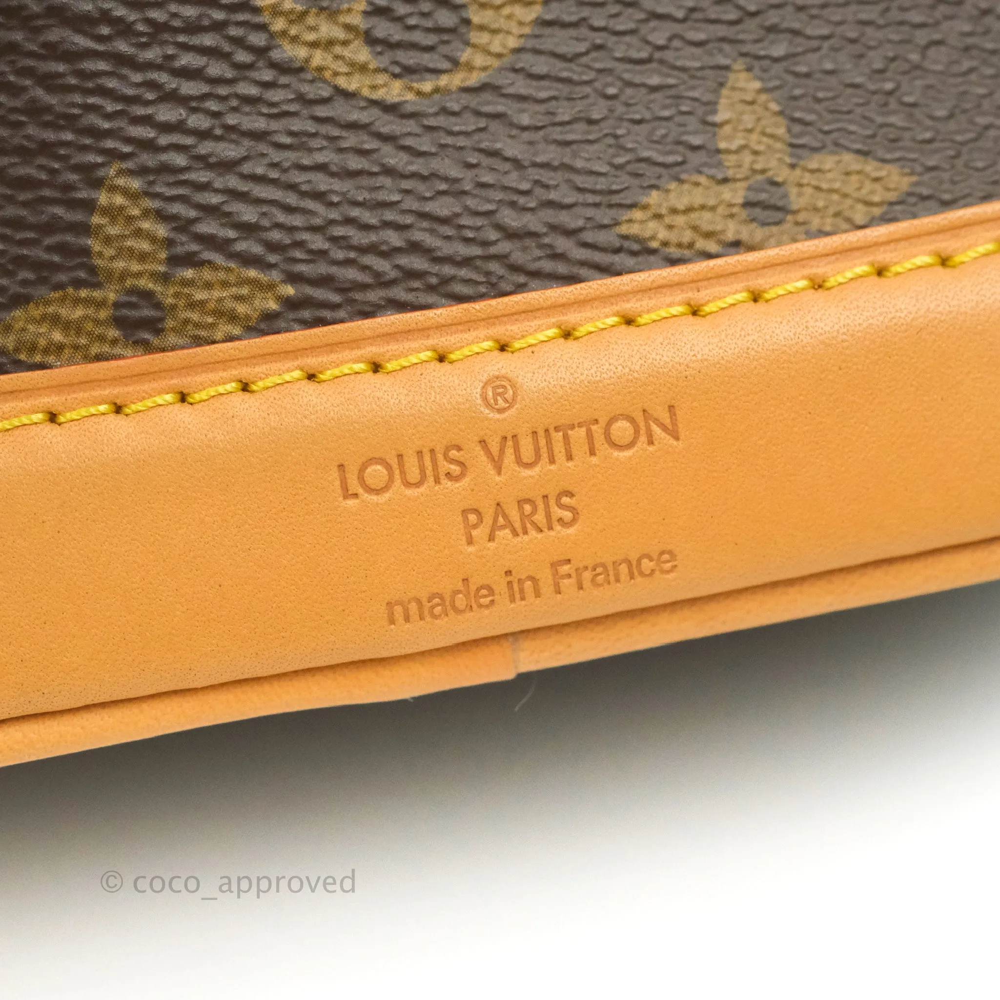 Louis Vuitton Monogram Nano Noe